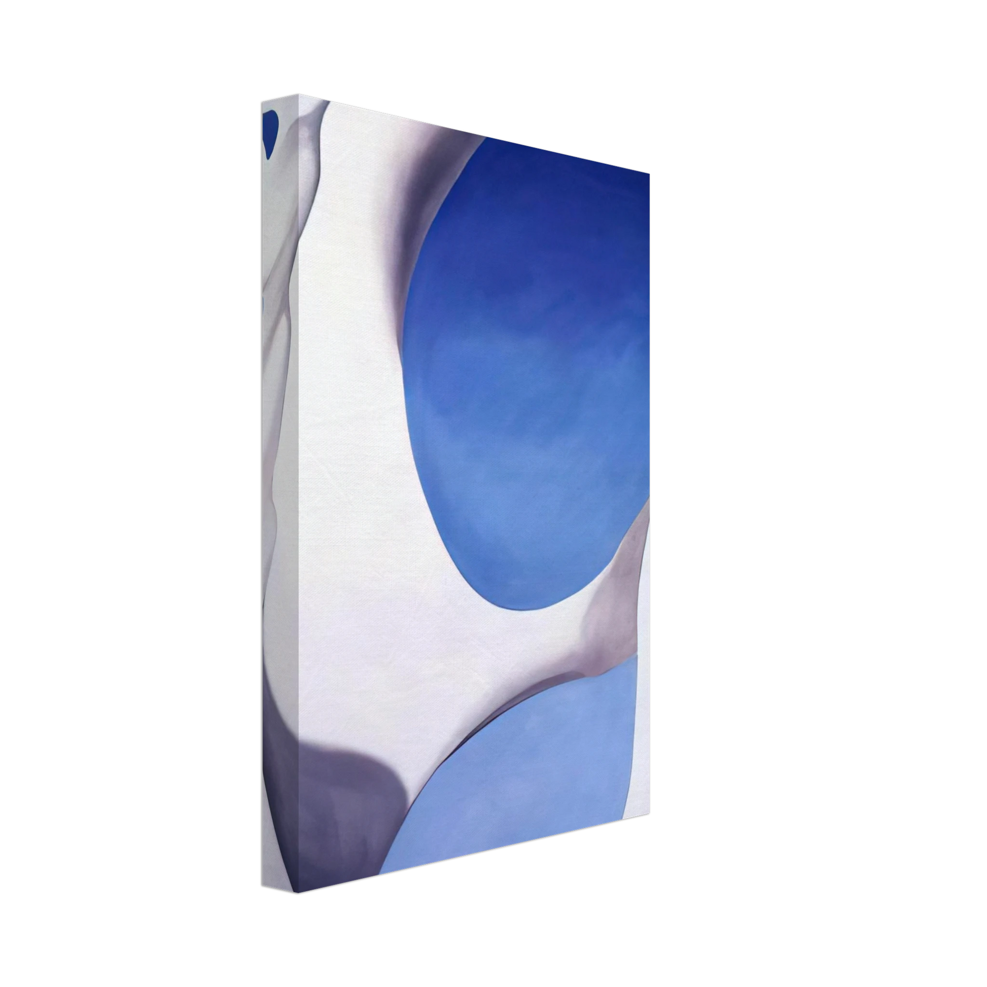 Georgia O'Keeffe - Pelvis II Canvas - 70x100 cm / 28x40 inches-canvas