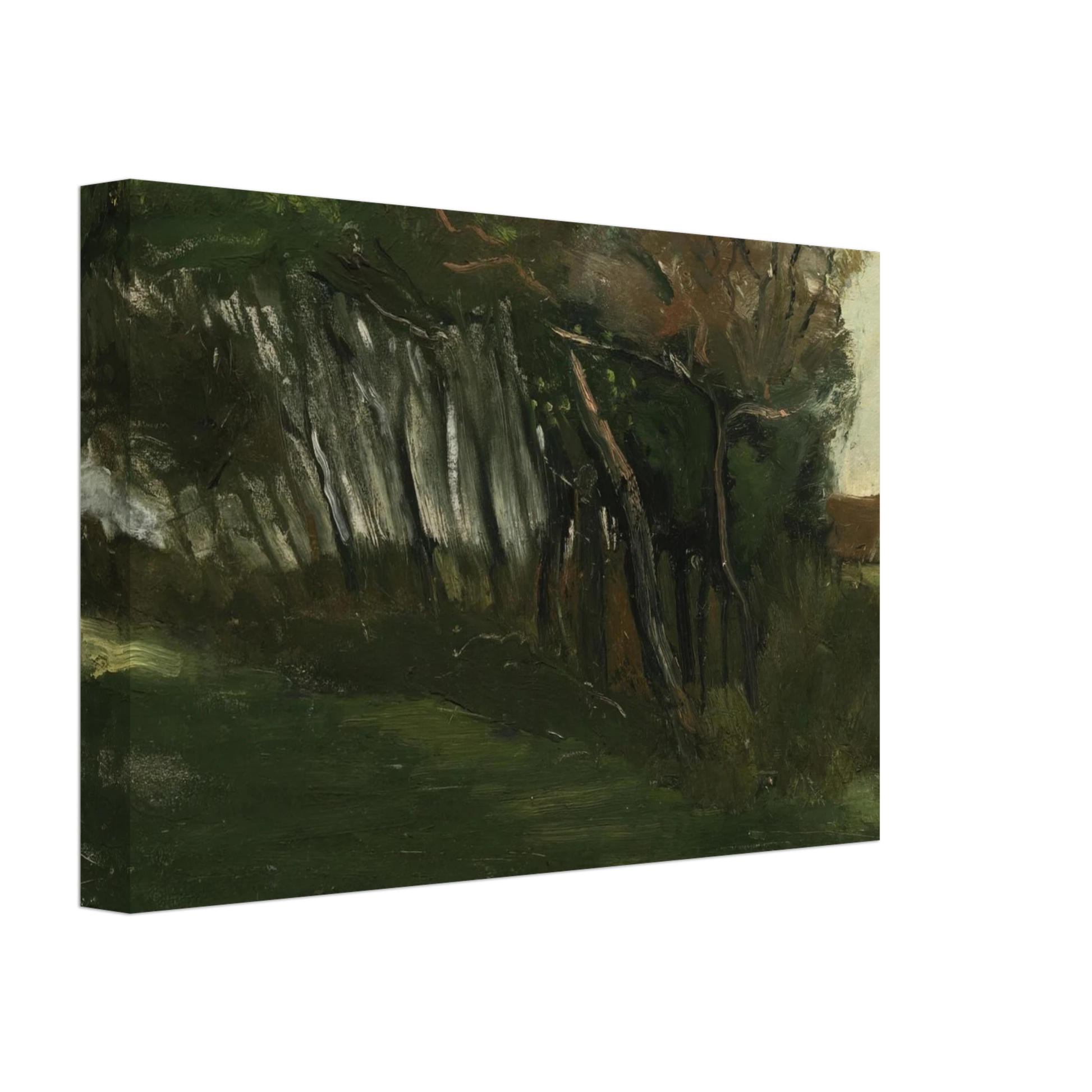 Vincent van Gogh - Landscape with windswept trees Canvas - 40x60 cm / 16x24 inches-canvas