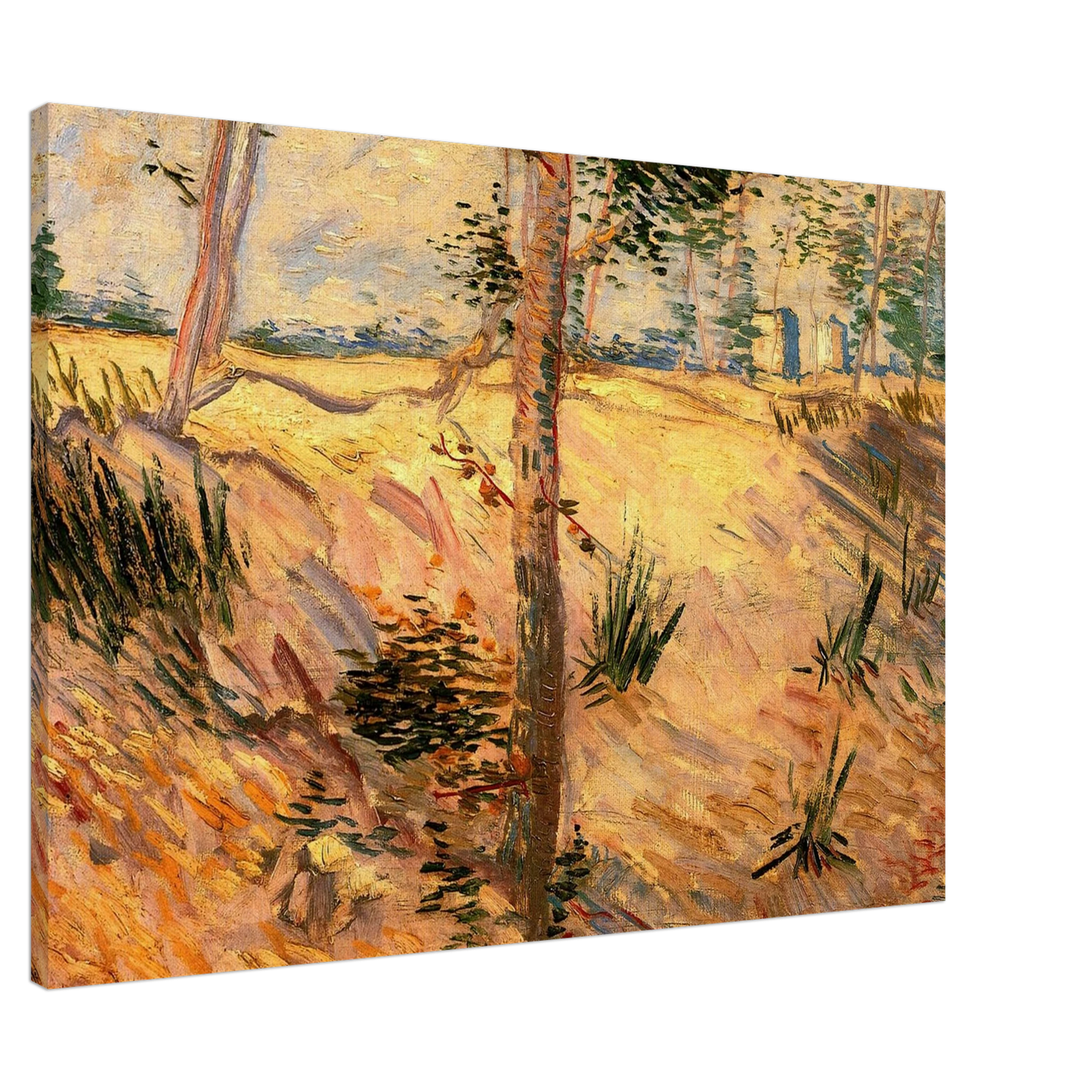 Vincent van Gogh - Trees in a Field on a Sunny Day Canvas - 20x30 cm / 8x12 inches-canvas