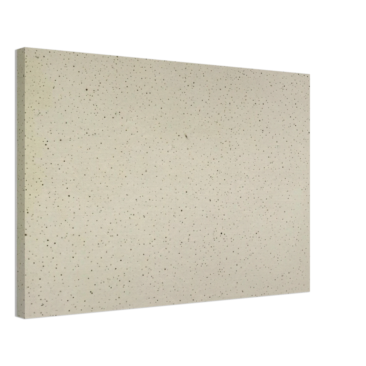 Vija Celmins - NIGHT SKY 2 REVERSED 2002 Canvas - 70x100 cm / 28x40 inches-canvas