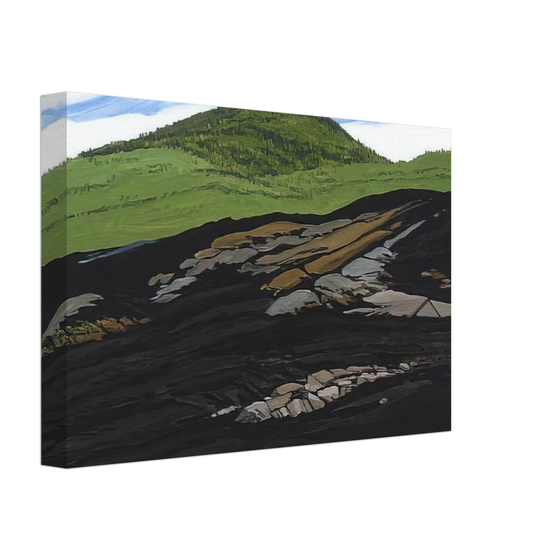 Neil Welliver - Blueberry Burn Morey's Hill - 1997 Canvas - 40x60 cm / 16x24 inches-canvas