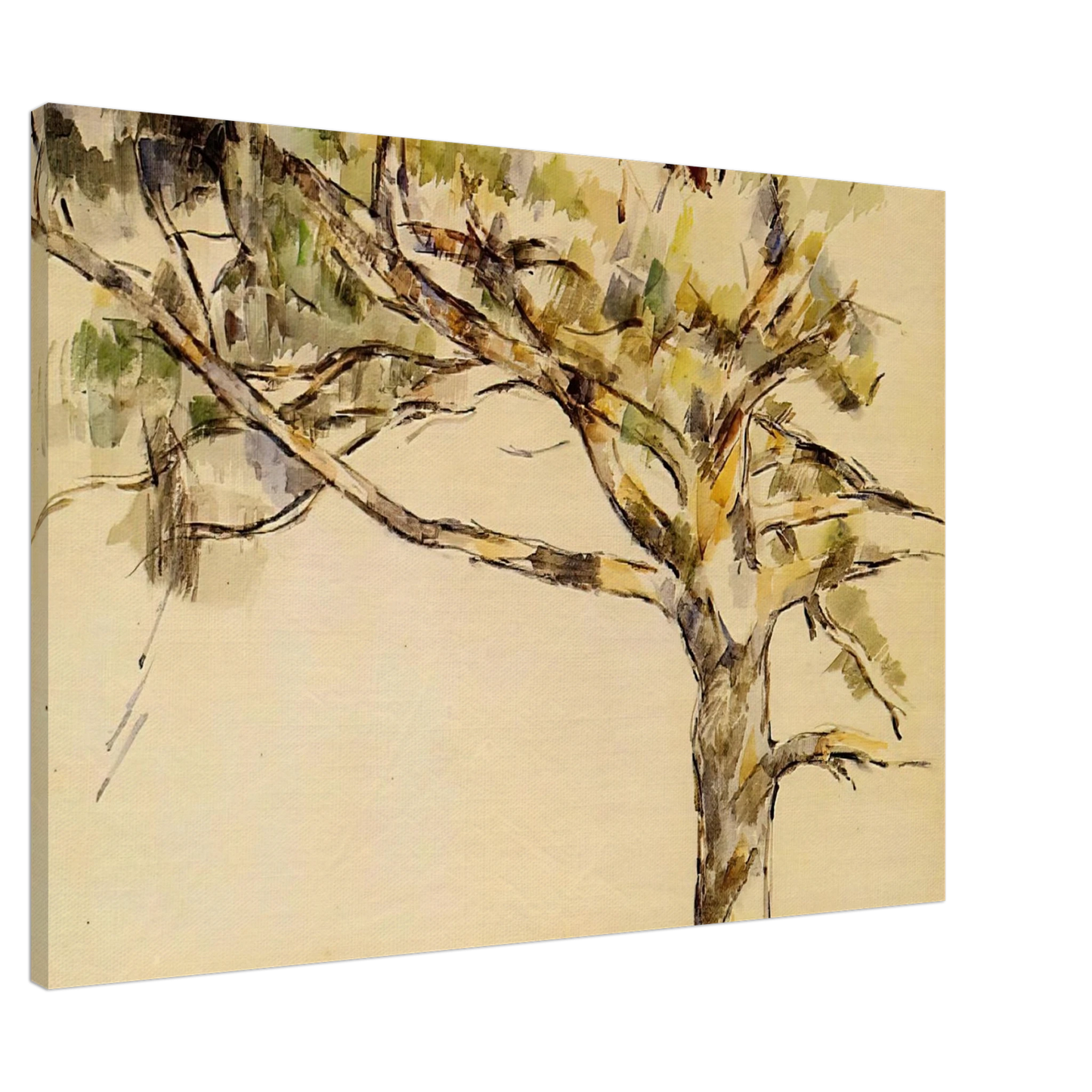 Paul Cezanne - Large Pine Canvas - 20x30 cm / 8x12 inches-canvas