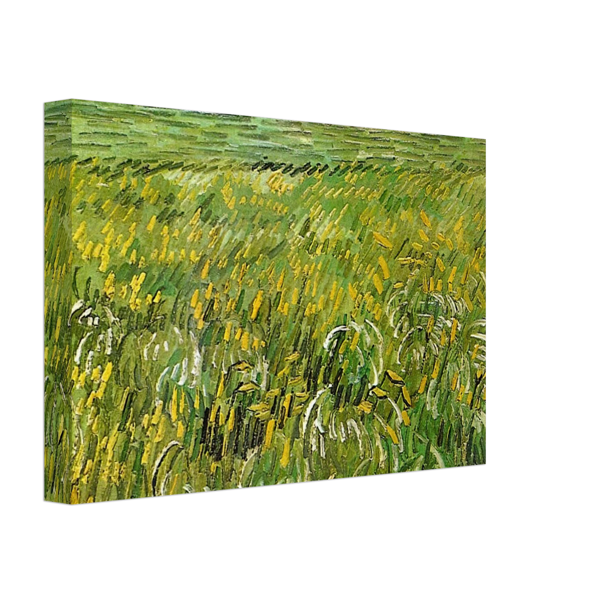 Vincent van Gogh - Wheat Field at Auvers with White House Canvas - 70x100 cm / 28x40 inches-canvas