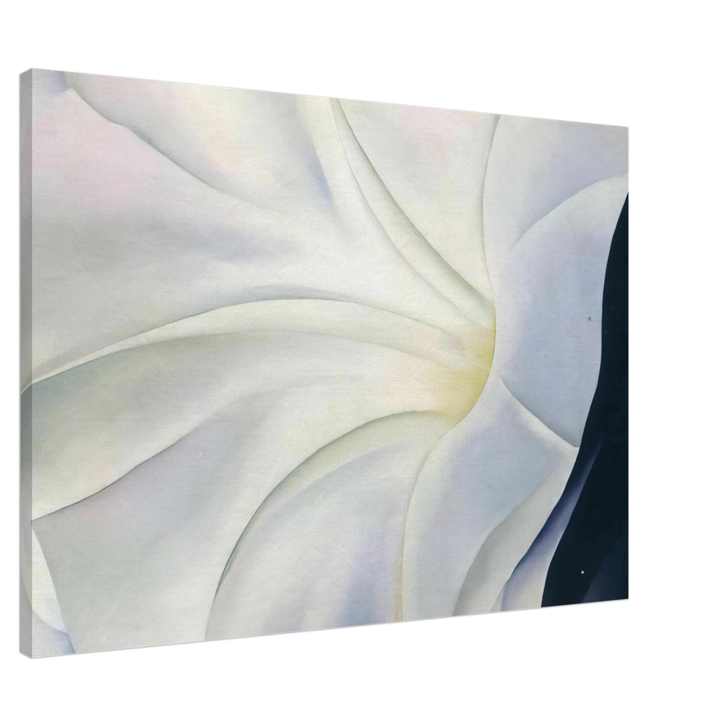 Georgia O'Keeffe - Morning Glory with Black Canvas - 20x30 cm / 8x12 inches-canvas