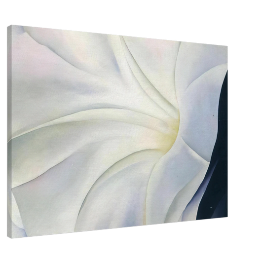Georgia O'Keeffe - Morning Glory with Black Canvas - 20x30 cm / 8x12 inches-canvas