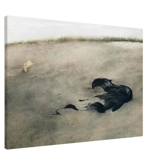 Andrew Wyeth - NOT DETECTED 37 Canvas - 20x30 cm / 8x12 inches-canvas