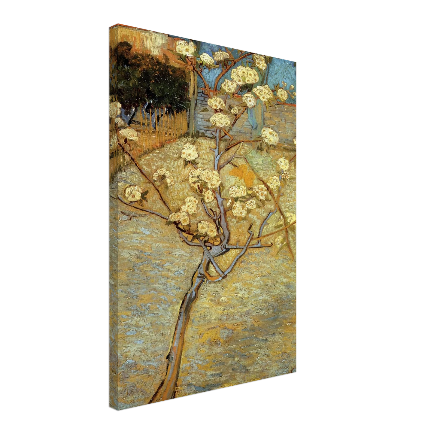 Vincent van Gogh - Pear Tree in Blossom Canvas - 70x100 cm / 28x40 inches-canvas