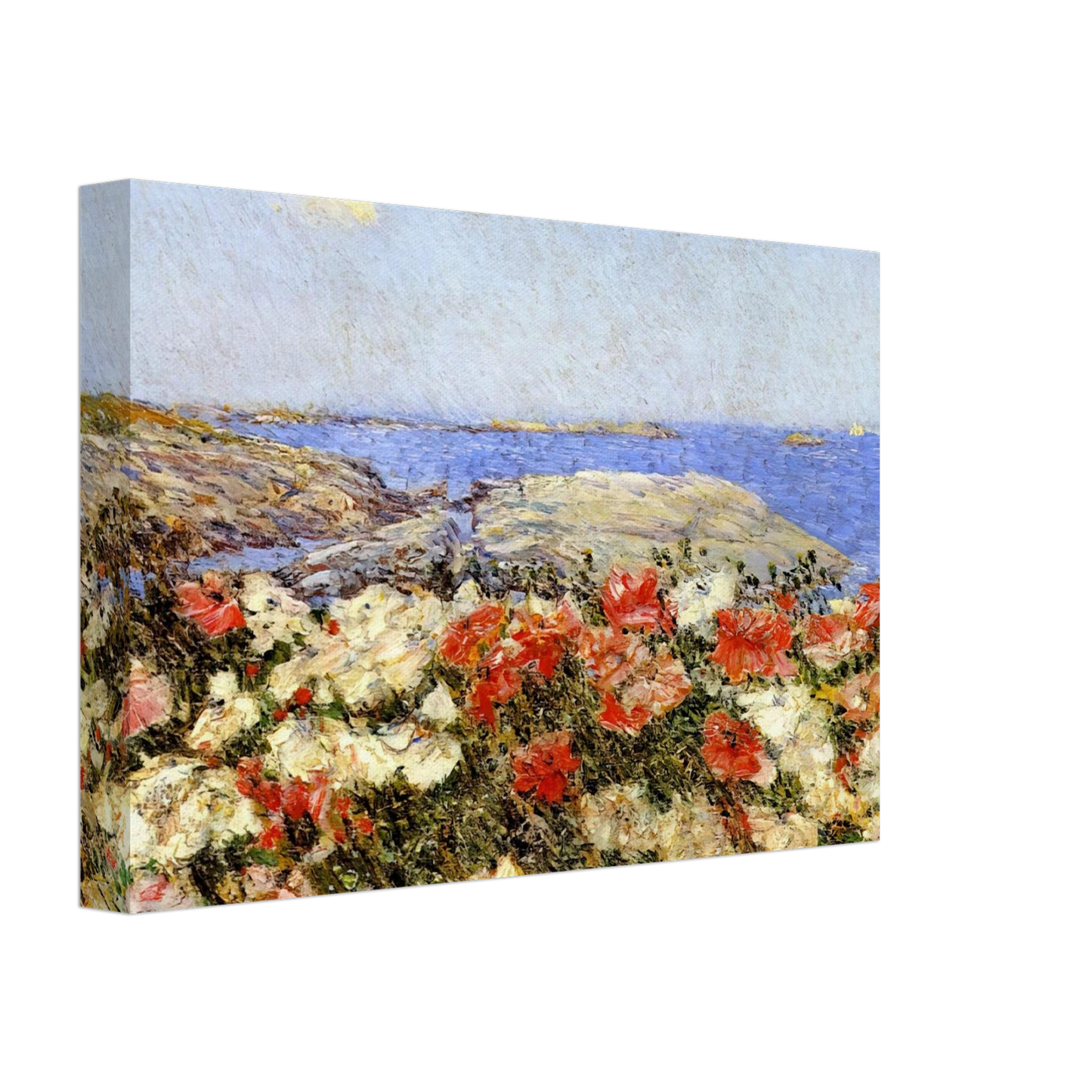 Childe Hassam - Poppies on the Isles of Shoals Canvas - 70x100 cm / 28x40 inches-canvas