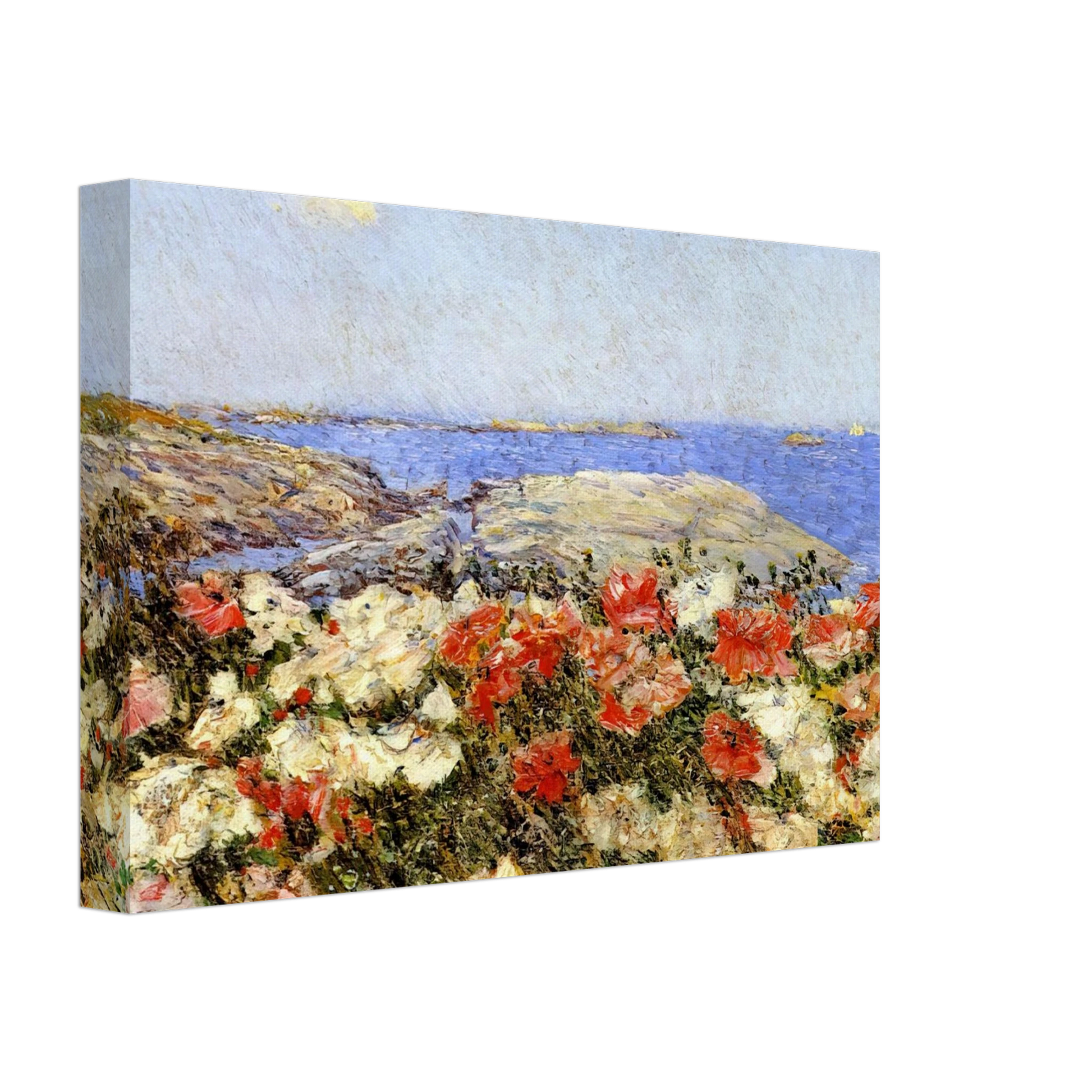 Childe Hassam - Poppies on the Isles of Shoals Canvas - 70x100 cm / 28x40 inches-canvas