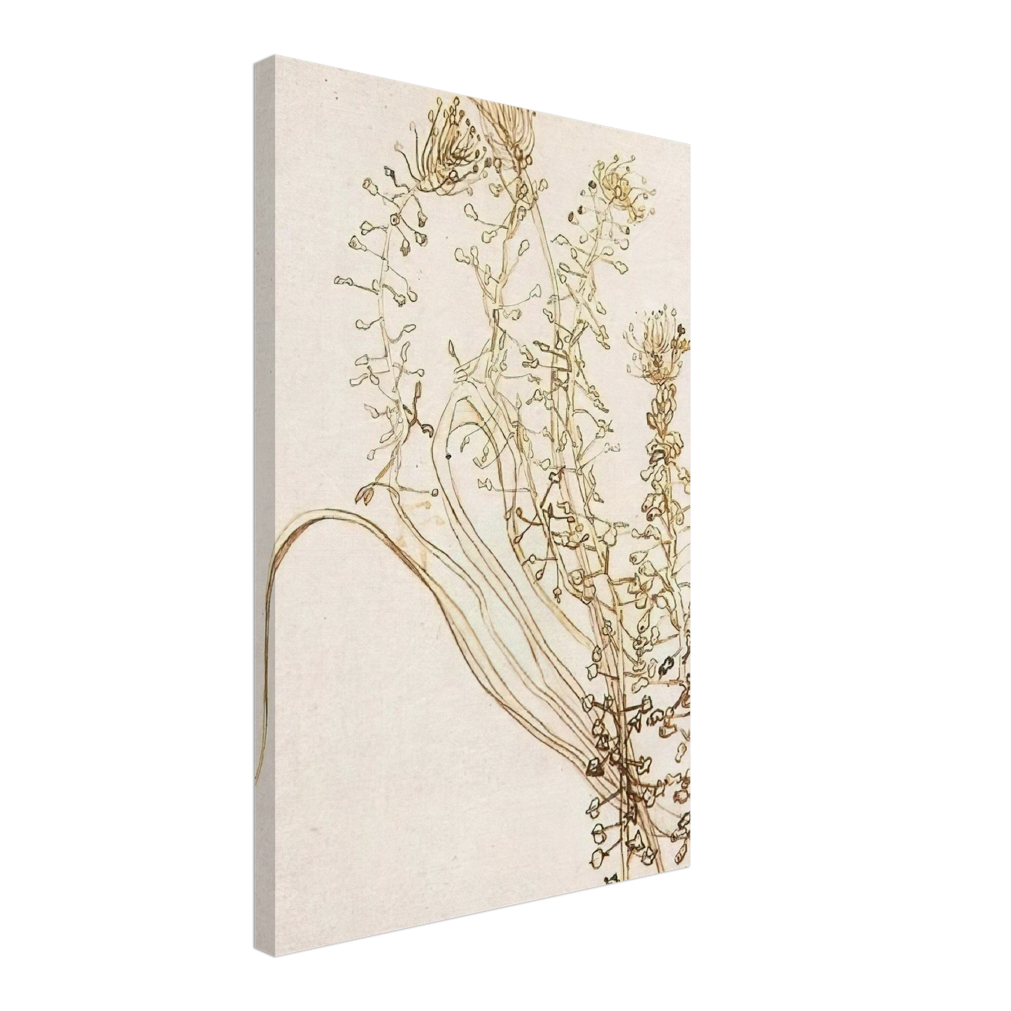 Vincent van Gogh - Blossoming Branches Canvas - 40x60 cm / 16x24 inches-canvas