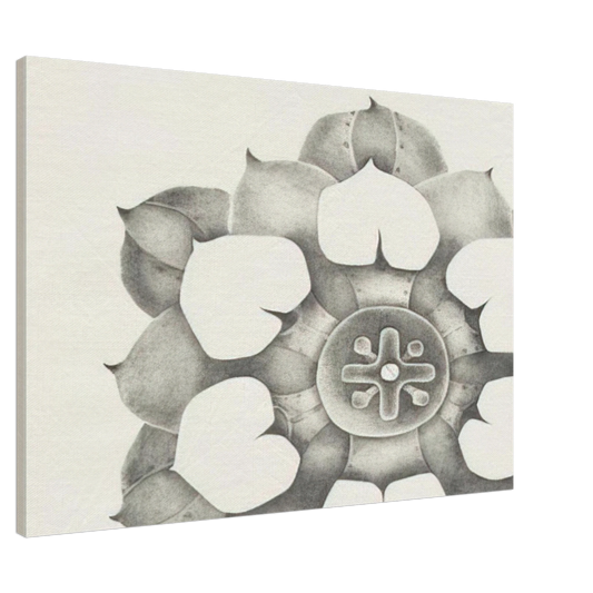 Lee Bontecou - TENTH STONE 1968 Canvas - 20x30 cm / 8x12 inches-canvas