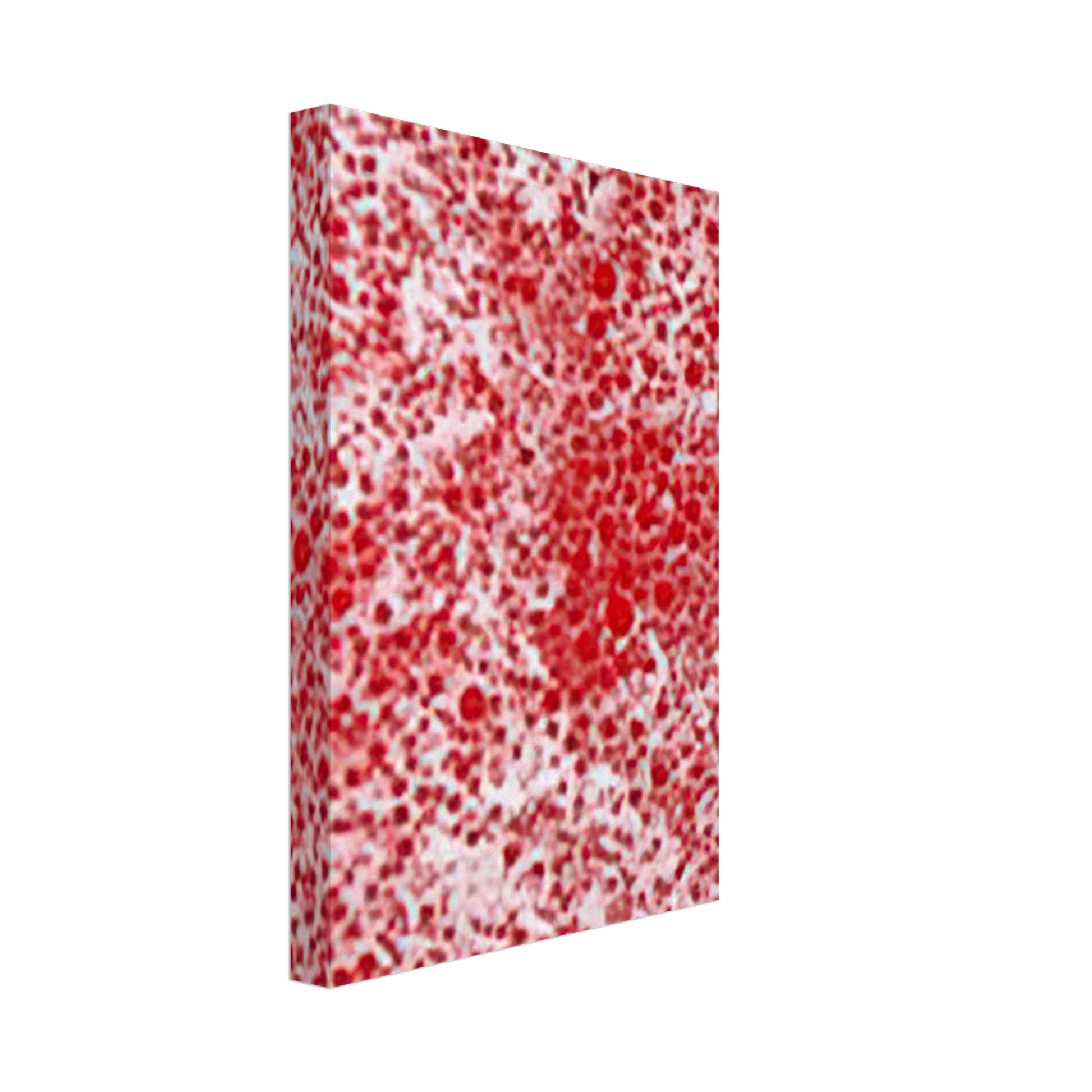 Yayoi Kusama - BEYOND THE END OF THE CENTURY 1987 Canvas - 70x100 cm / 28x40 inches-canvas