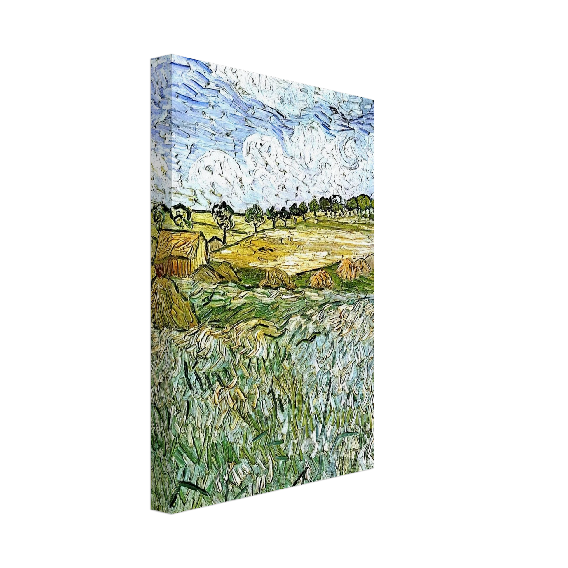 Vincent van Gogh - The Plain at Auvers Canvas - 40x60 cm / 16x24 inches-canvas