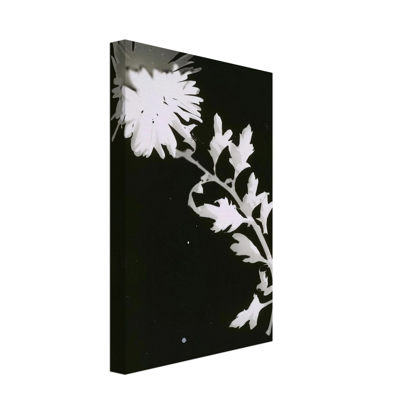 Laszlo Moholy-Nagy - Flower Canvas - 40x60 cm / 16x24 inches-canvas