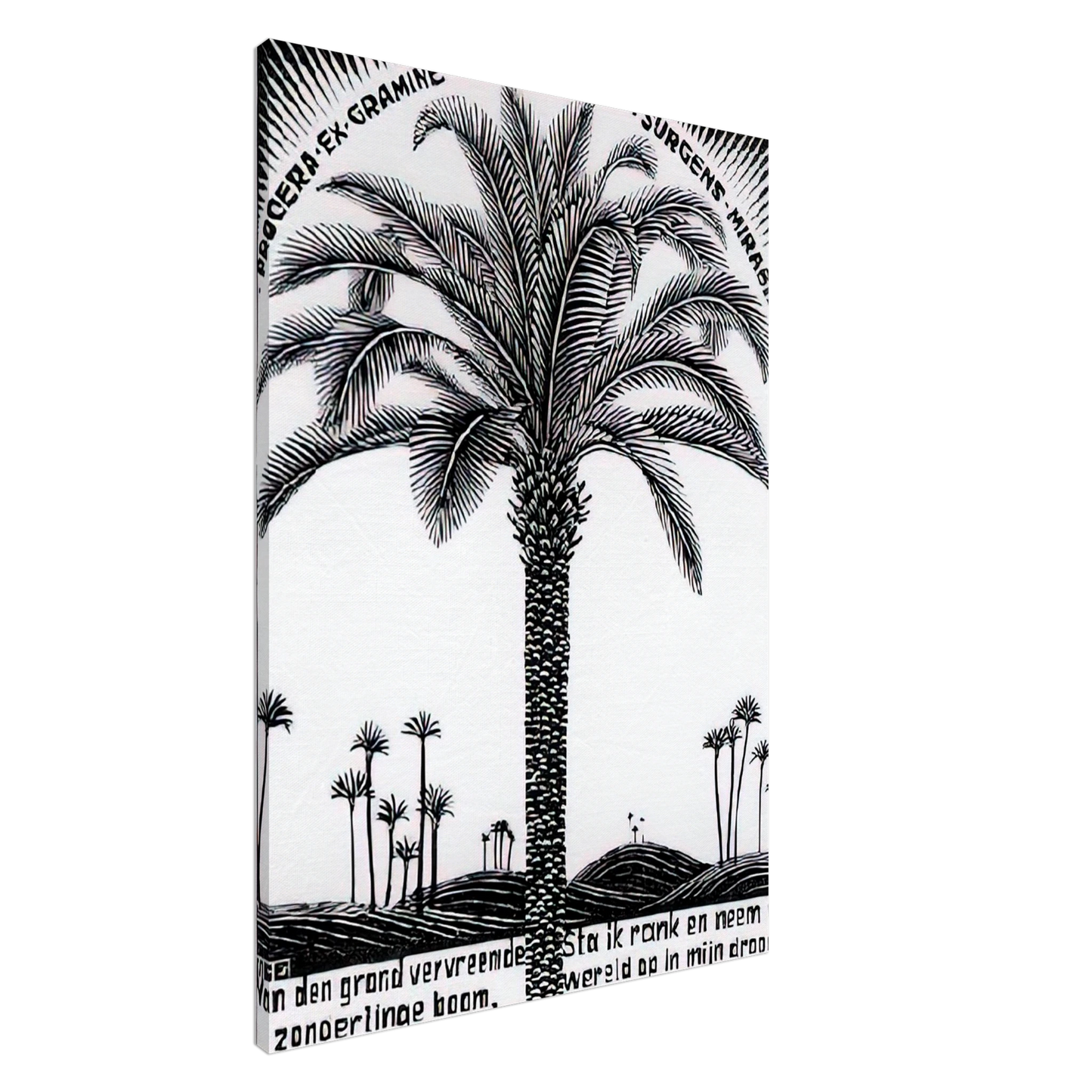 MC Escher - PALM TREE 1 Canvas - 20x30 cm / 8x12 inches-canvas