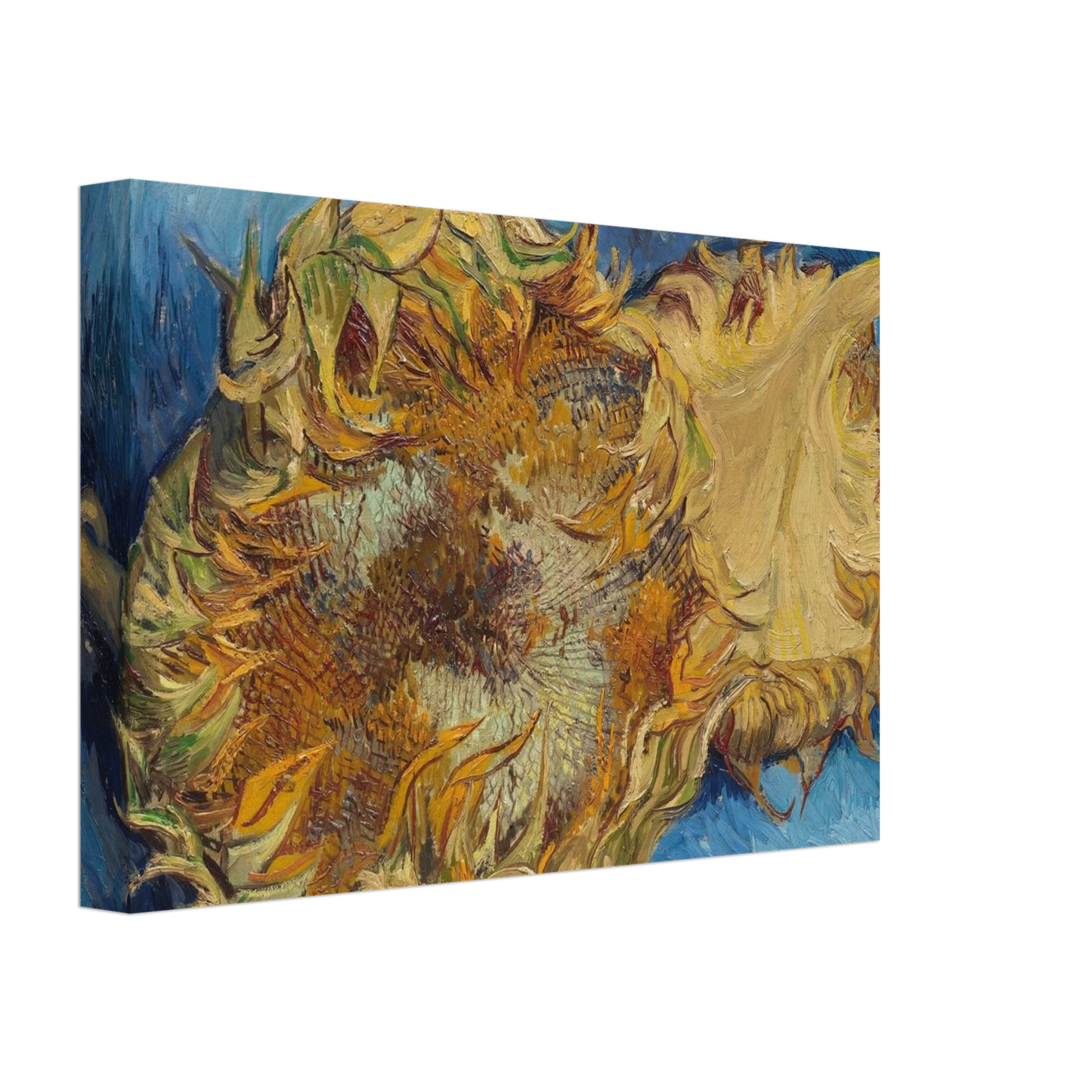 Vincent van Gogh - Still Life with Two Sunflowers Canvas - 70x100 cm / 28x40 inches-canvas