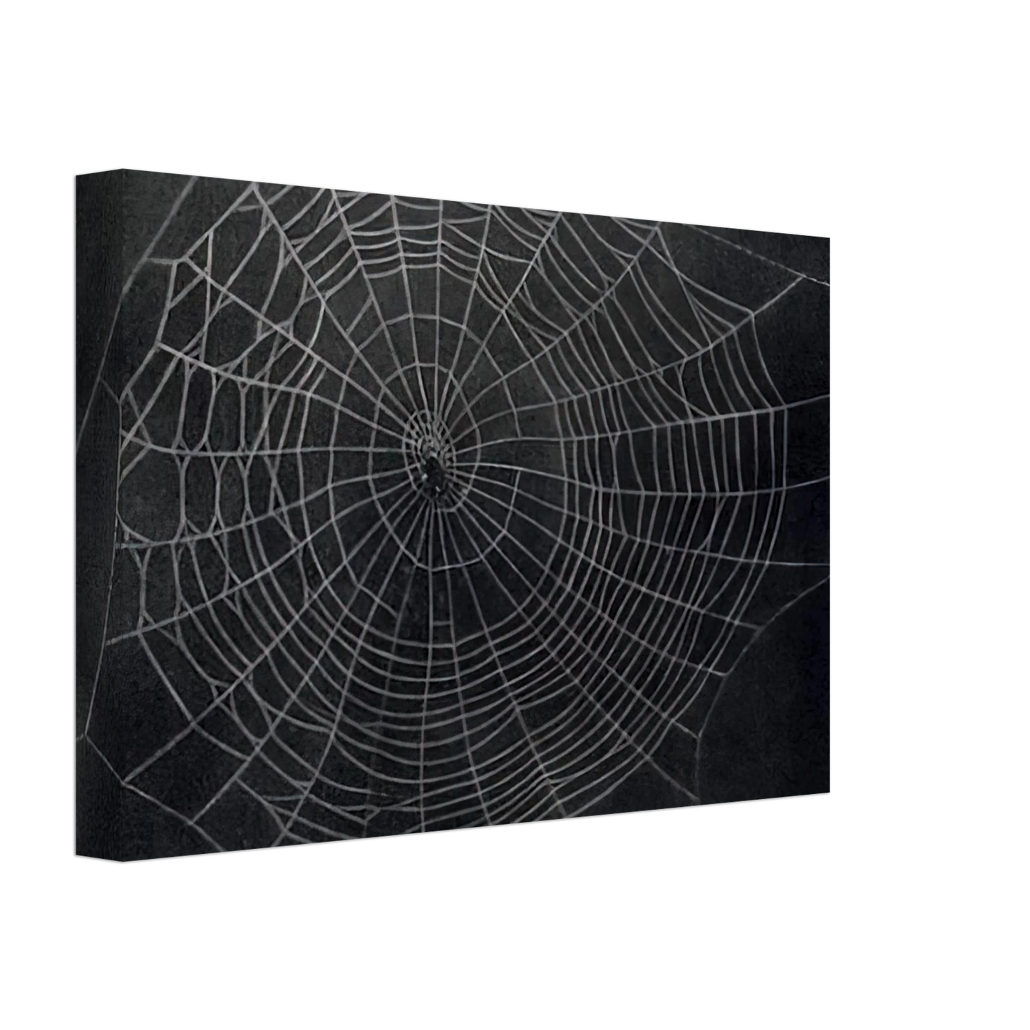 Vija Celmins - UNTITLED SPIDER WEB 2000 Canvas - 70x100 cm / 28x40 inches-canvas