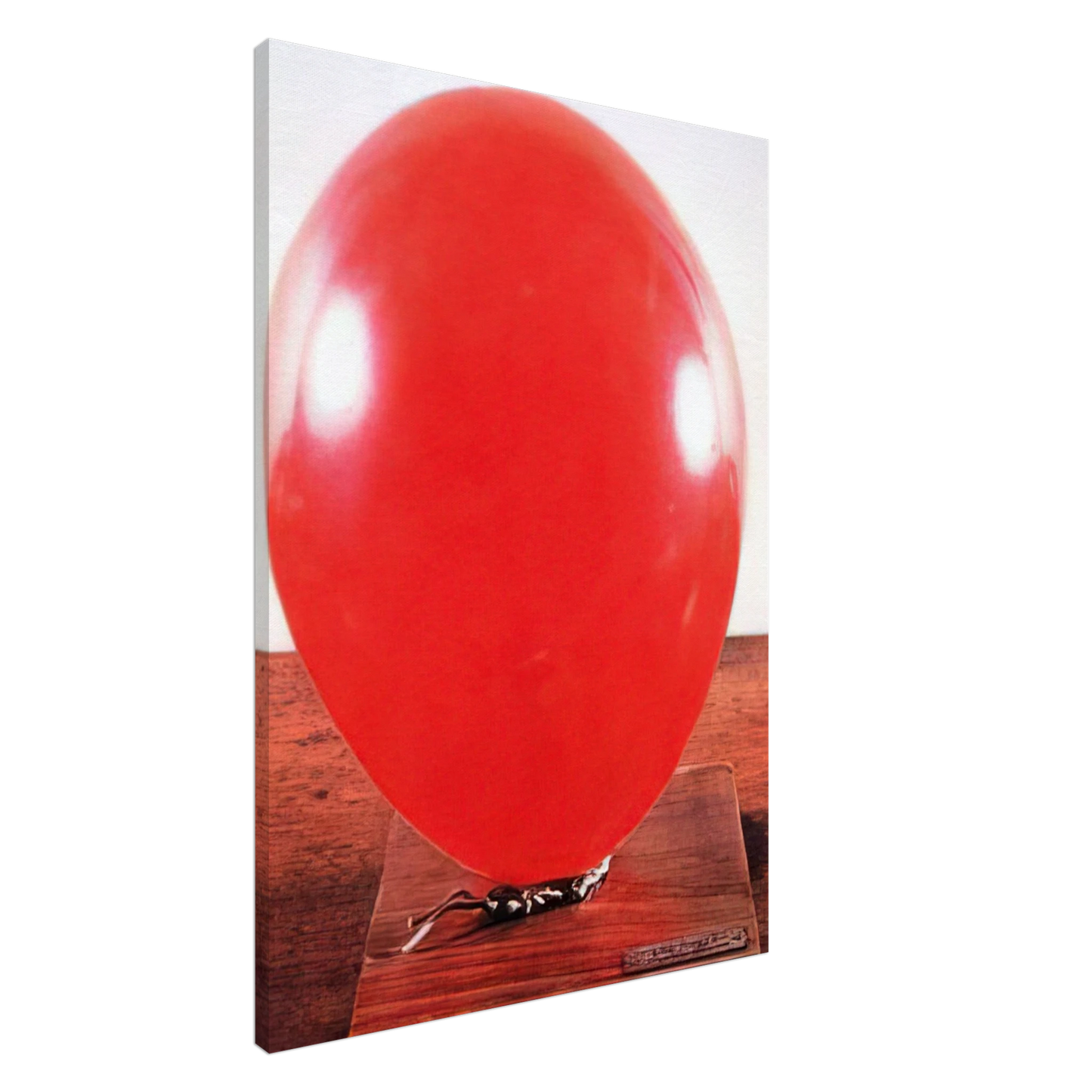 Piero Manzoni - Artist's Breath - 1960 Canvas - 20x30 cm / 8x12 inches-canvas