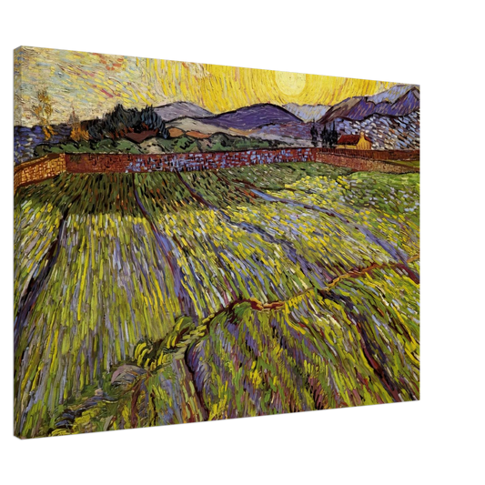 Vincent van Gogh - Enclosed field with rising sun Canvas - 20x30 cm / 8x12 inches-canvas