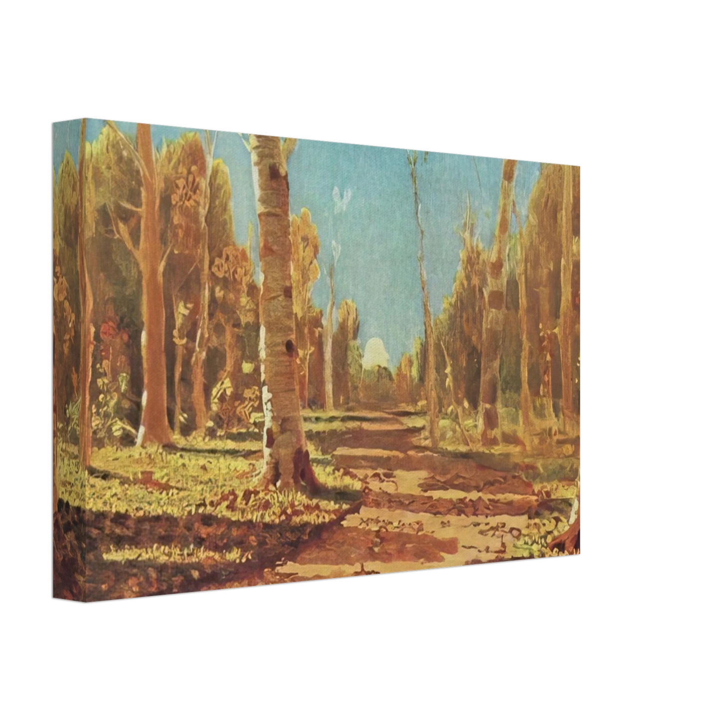 Arkhyp Kuindzhi - A Birch Grove Canvas - 70x100 cm / 28x40 inches-canvas