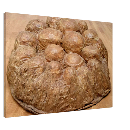 Louise Bourgeois - AVENZA 1969 Canvas - 20x30 cm / 8x12 inches-canvas