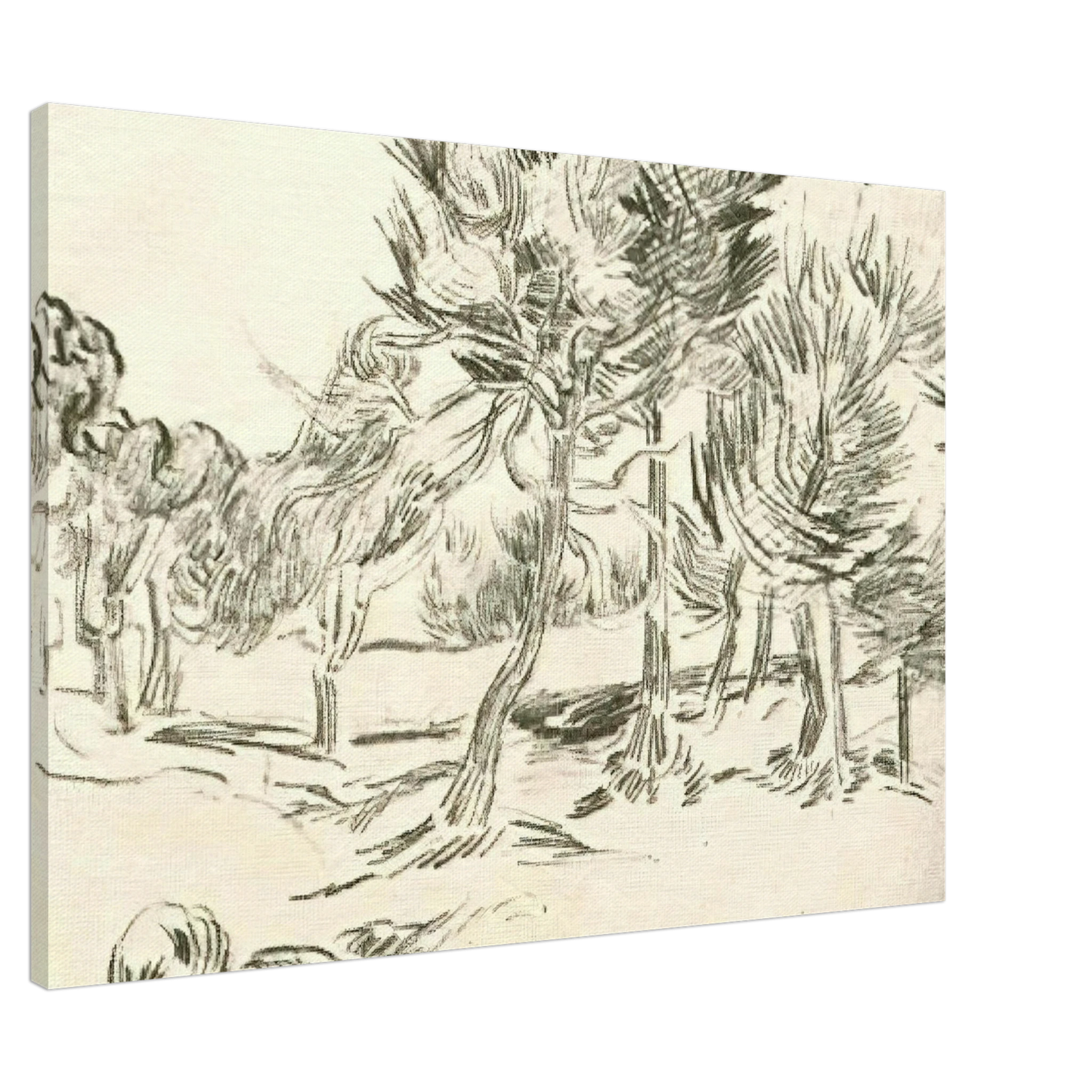 Vincent van Gogh - A Group of Pine Trees Canvas - 20x30 cm / 8x12 inches-canvas