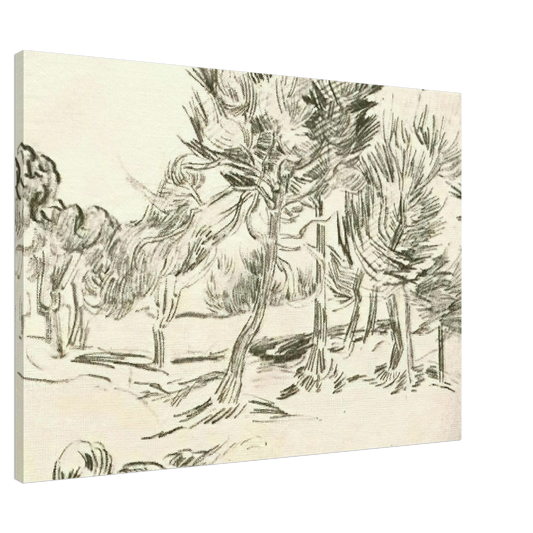 Vincent van Gogh - A Group of Pine Trees Canvas - 20x30 cm / 8x12 inches-canvas