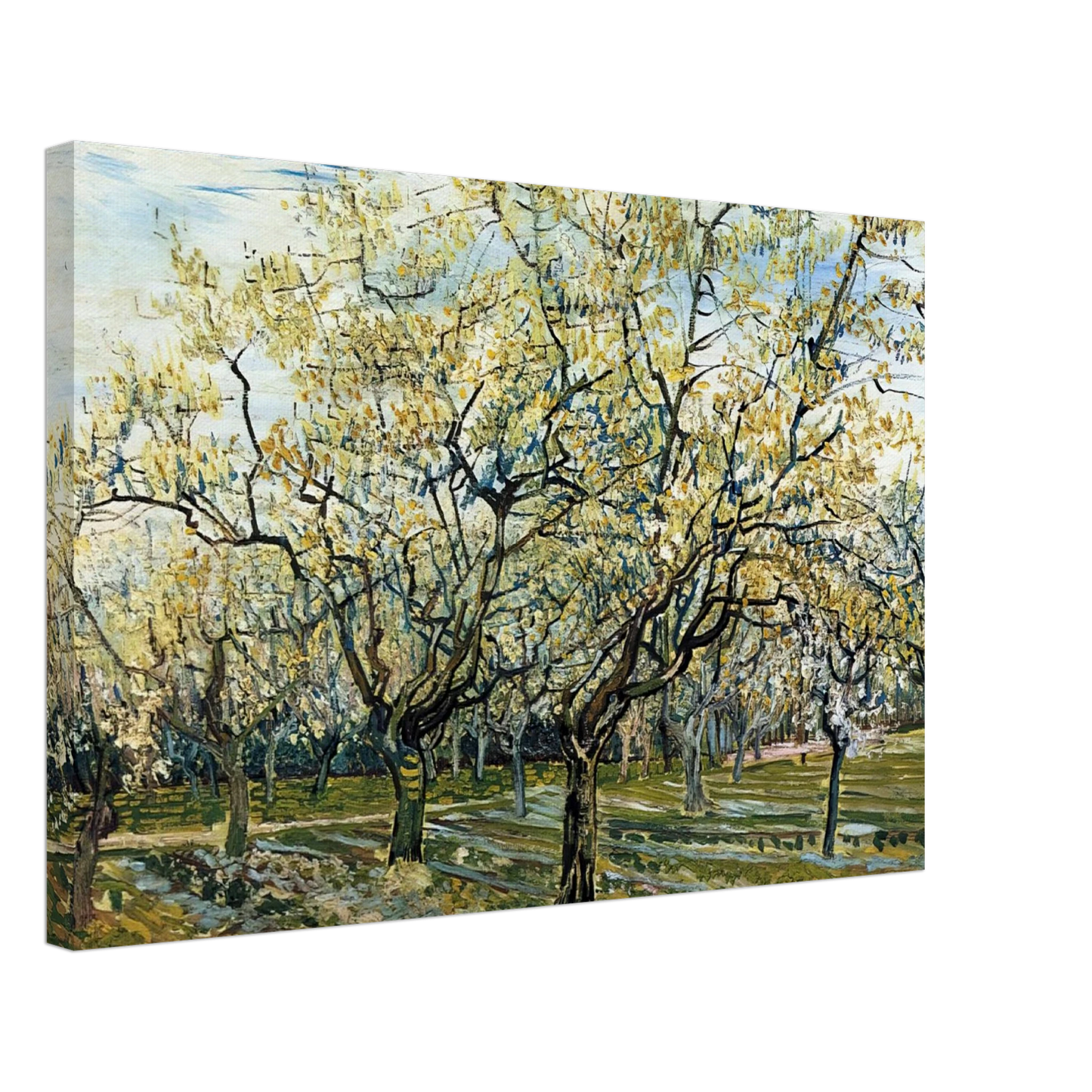 Vincent van Gogh - Orchard with Blossoming Plum Trees Canvas - 70x100 cm / 28x40 inches-canvas