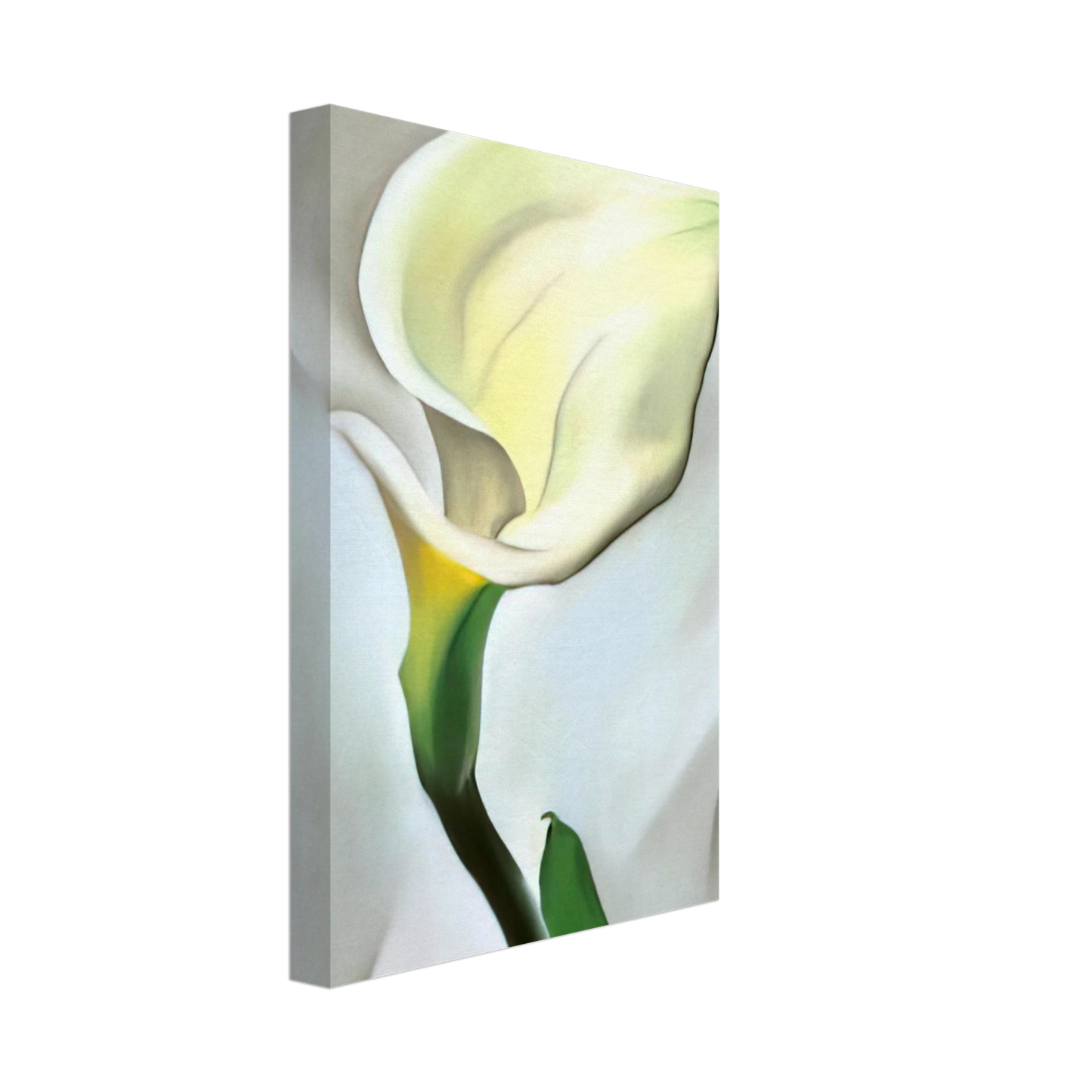 Georgia O'Keeffe - Calla Lily Turned Away Canvas - 40x60 cm / 16x24 inches-canvas