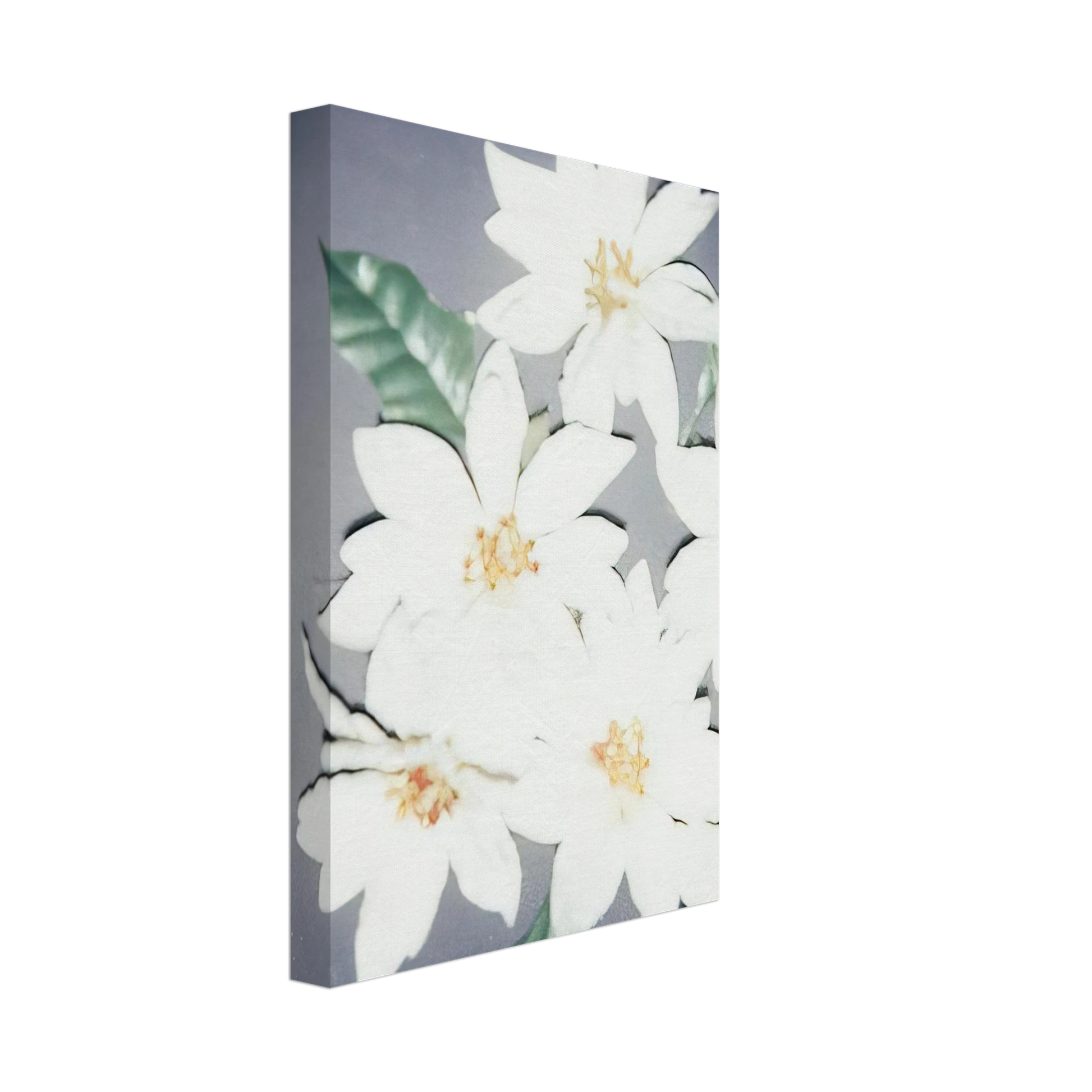 Andy Warhol - Christmas Poinsettias-White Canvas - 40x60 cm / 16x24 inches-canvas