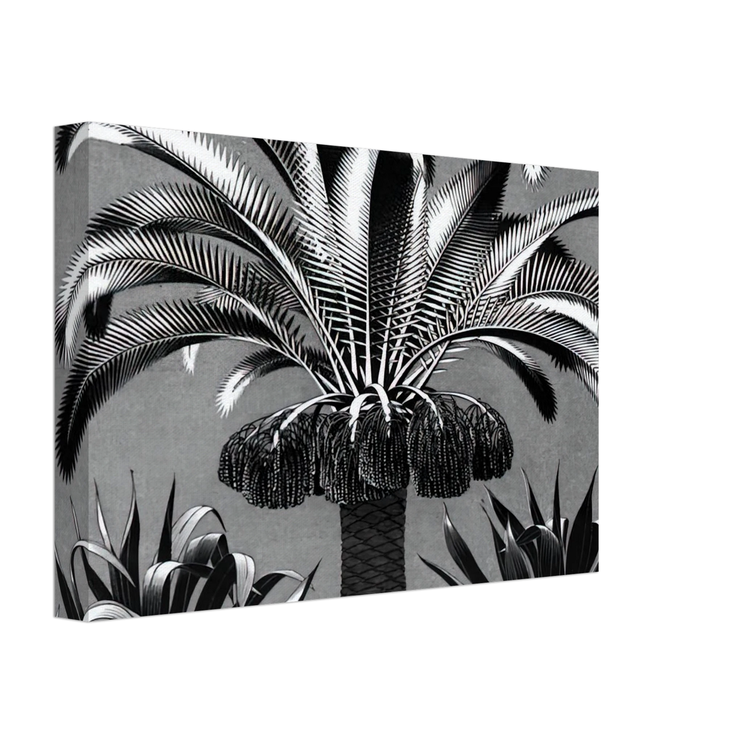 MC Escher - PALM Canvas - 40x60 cm / 16x24 inches-canvas
