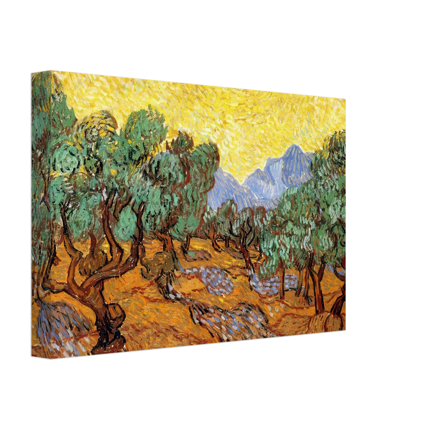 Vincent van Gogh - Olive Trees with Yellow Sky and Sun Canvas - 40x60 cm / 16x24 inches-canvas