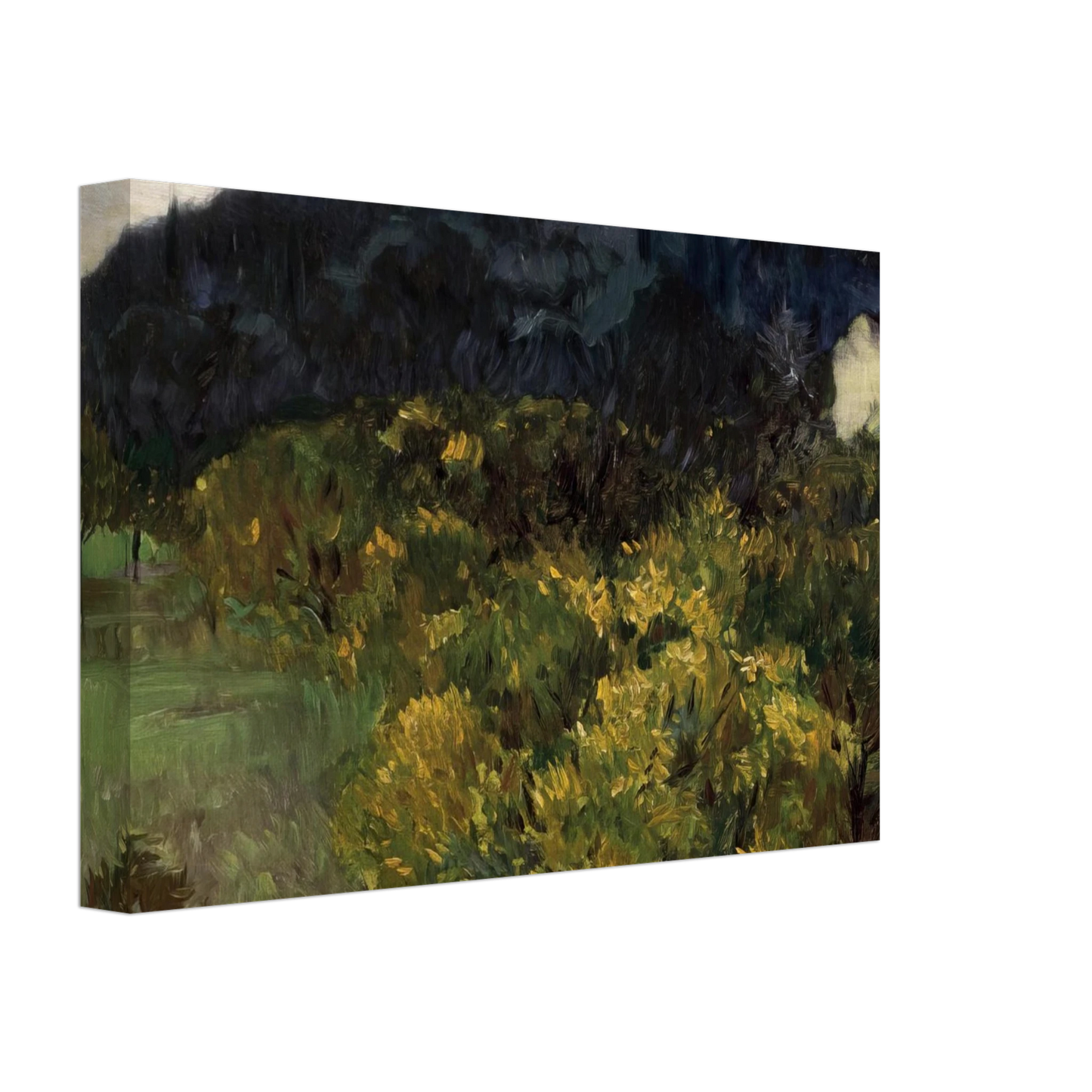 John Singer Sargent - Landscape near Grasse Canvas - 40x60 cm / 16x24 inches-canvas