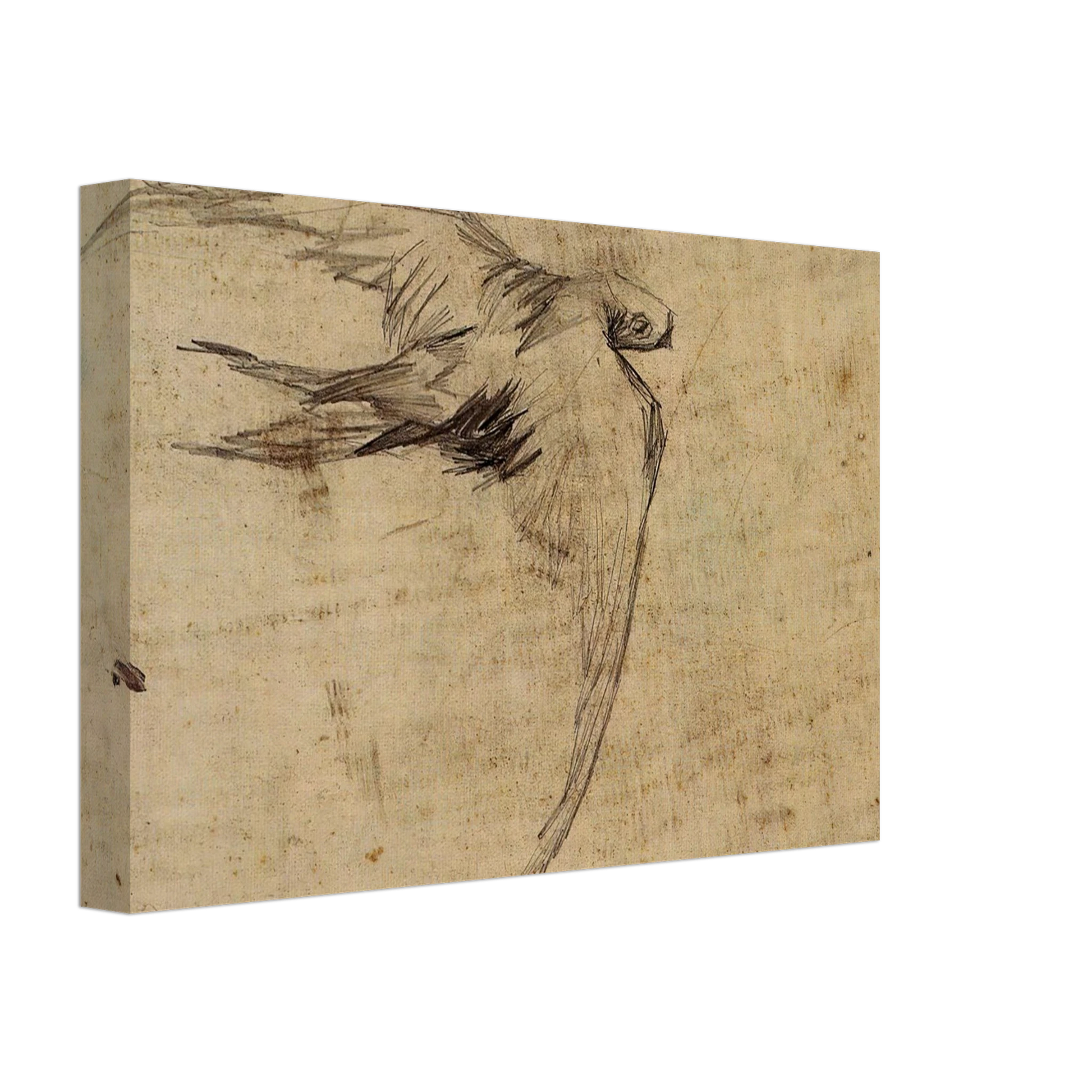 Vincent van Gogh - Swift Canvas - 40x60 cm / 16x24 inches-canvas