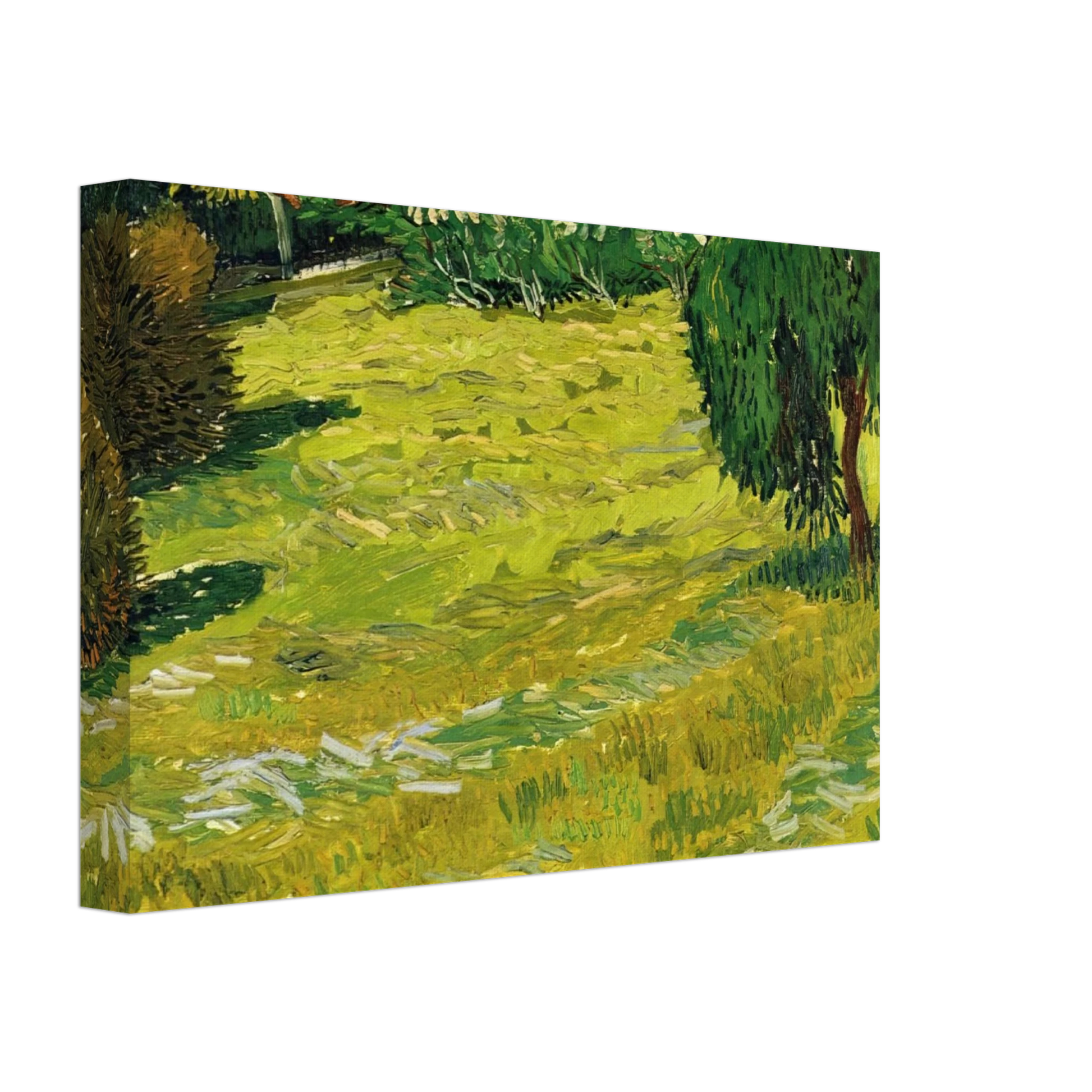 Vincent van Gogh - Garden with Weeping Willow Canvas - 70x100 cm / 28x40 inches-canvas