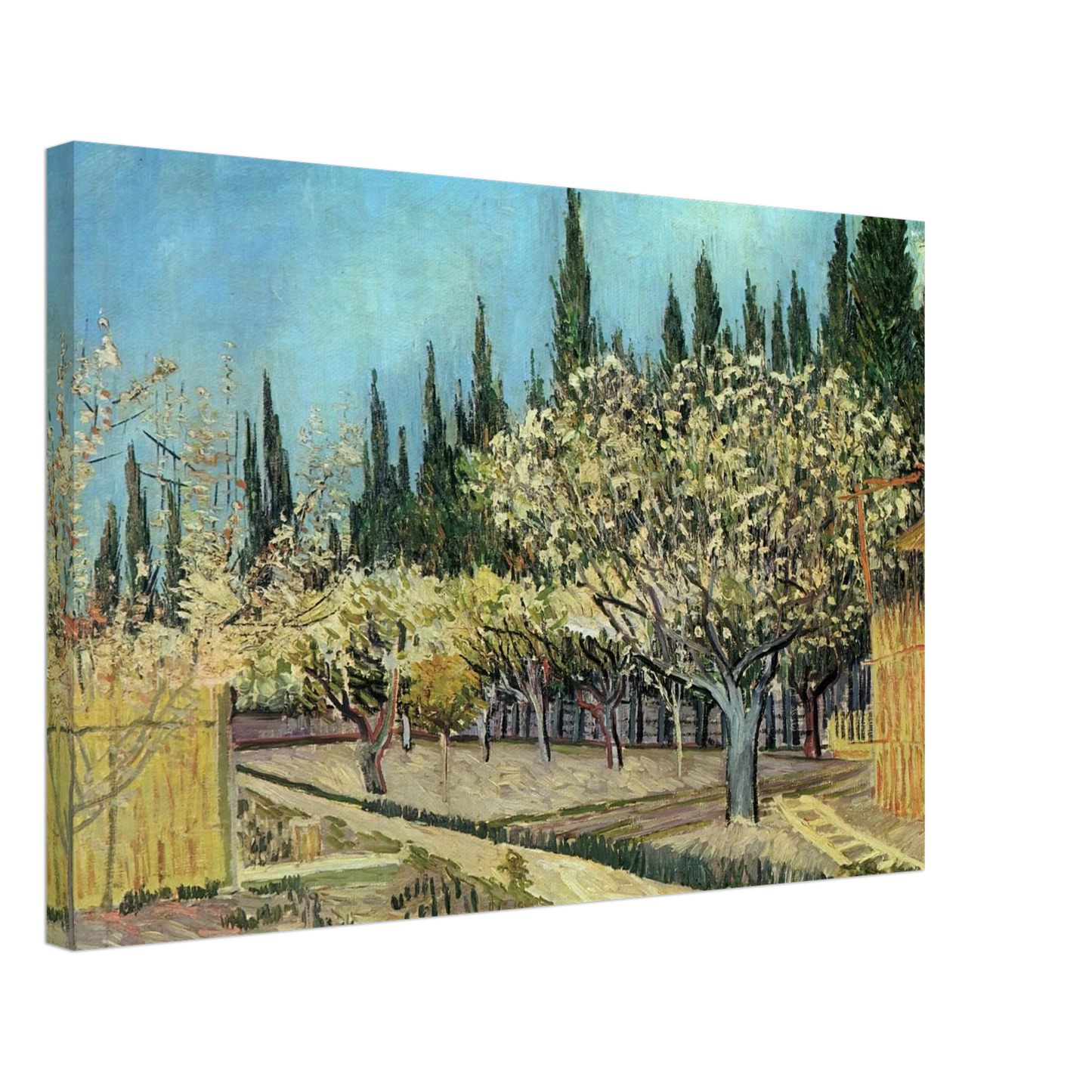Vincent van Gogh - Orchard in Blossom, Bordered by Cypresses Canvas - 70x100 cm / 28x40 inches-canvas