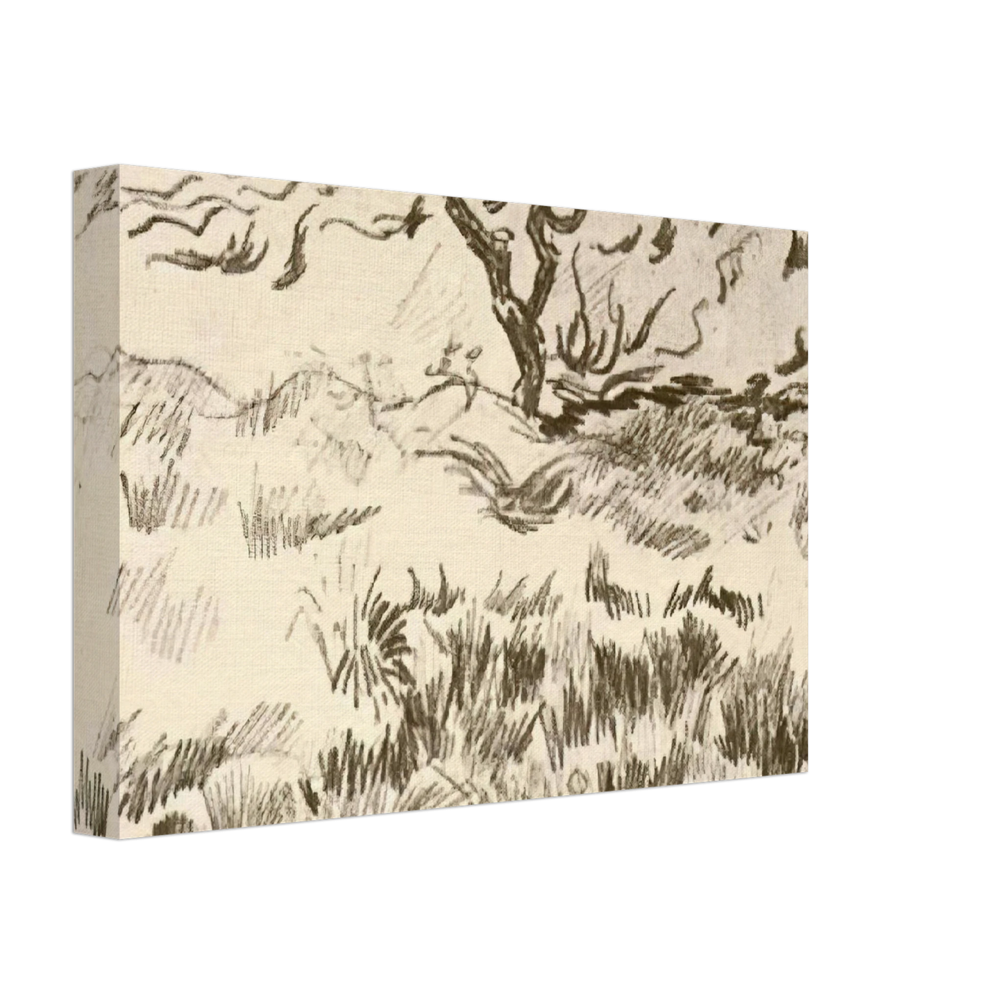 Vincent van Gogh - Field with Bare Tree Canvas - 40x60 cm / 16x24 inches-canvas