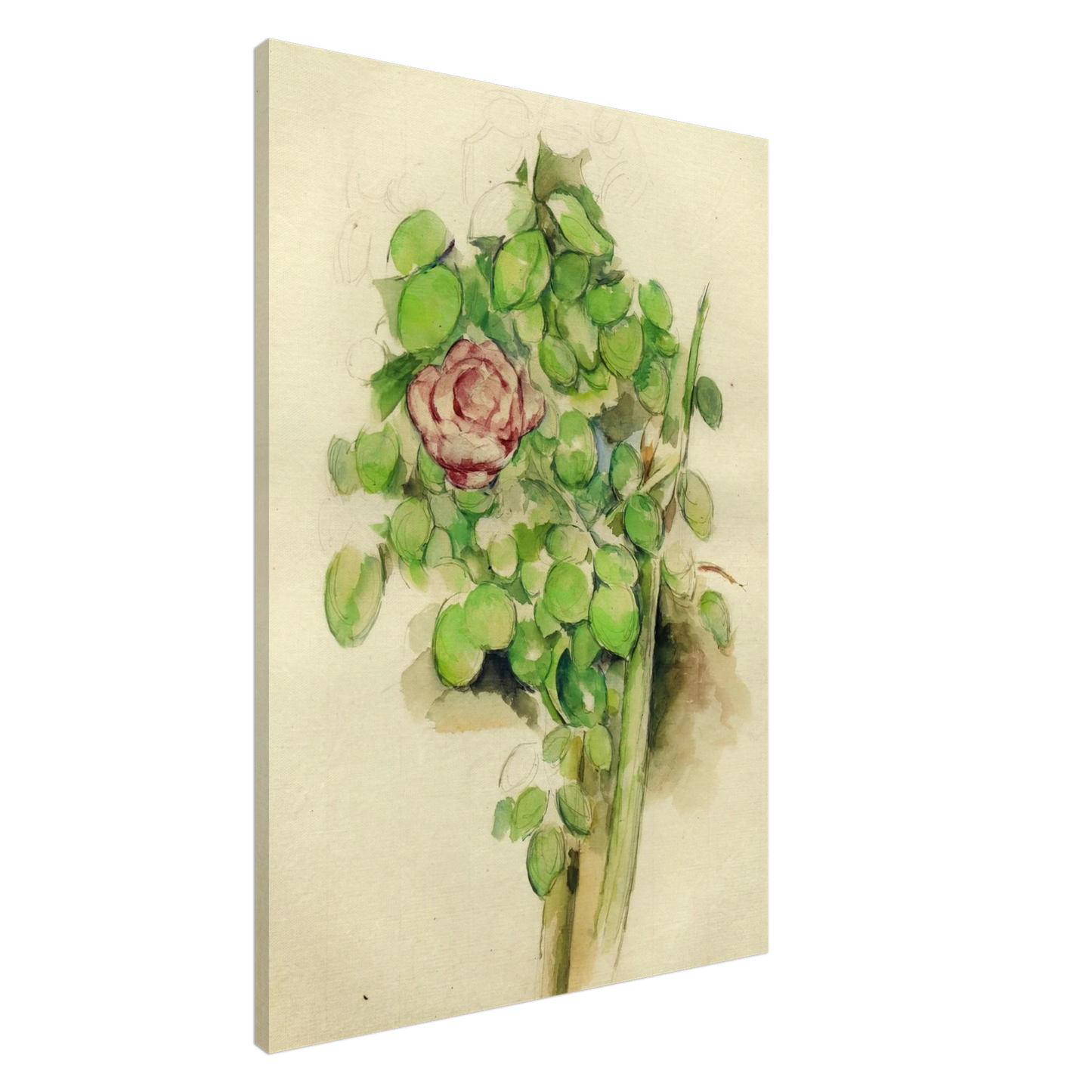 Paul Cezanne - Rose Bush Canvas - 20x30 cm / 8x12 inches-canvas