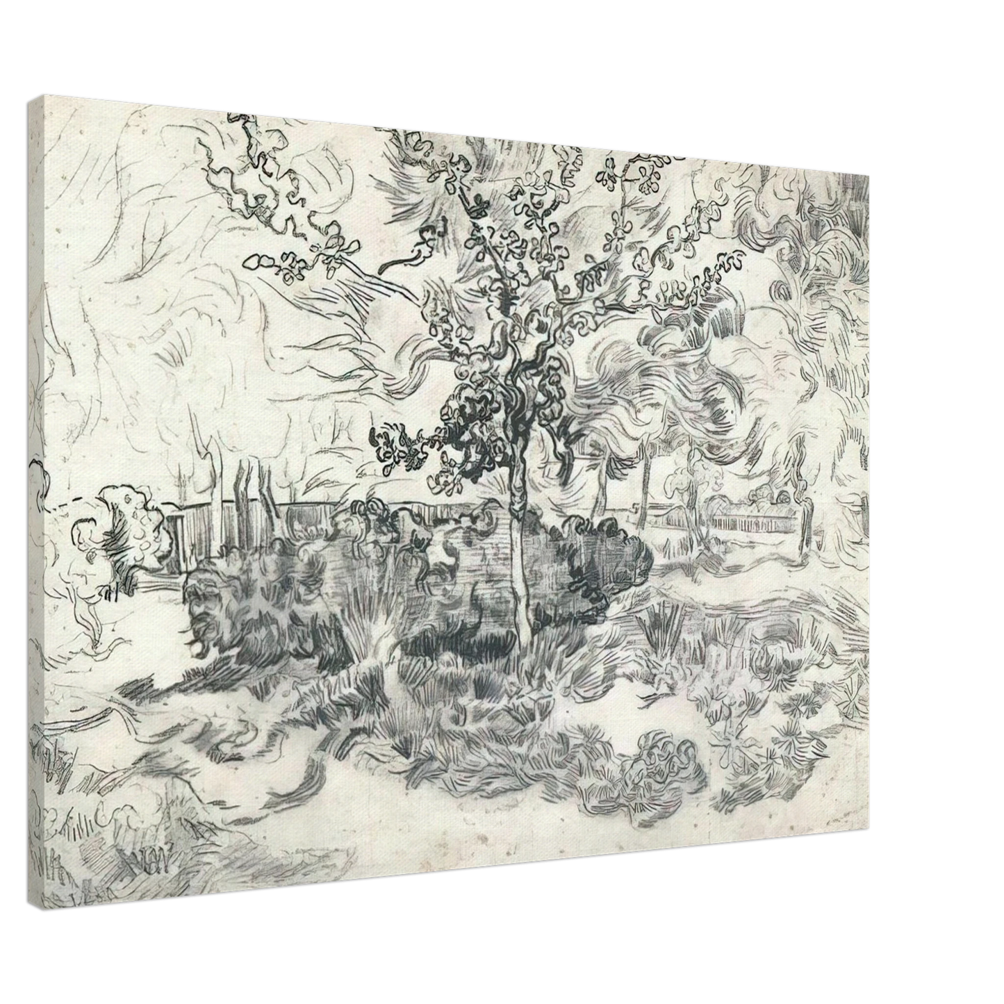 Vincent van Gogh - Garden of the Asylum Canvas - 20x30 cm / 8x12 inches-canvas