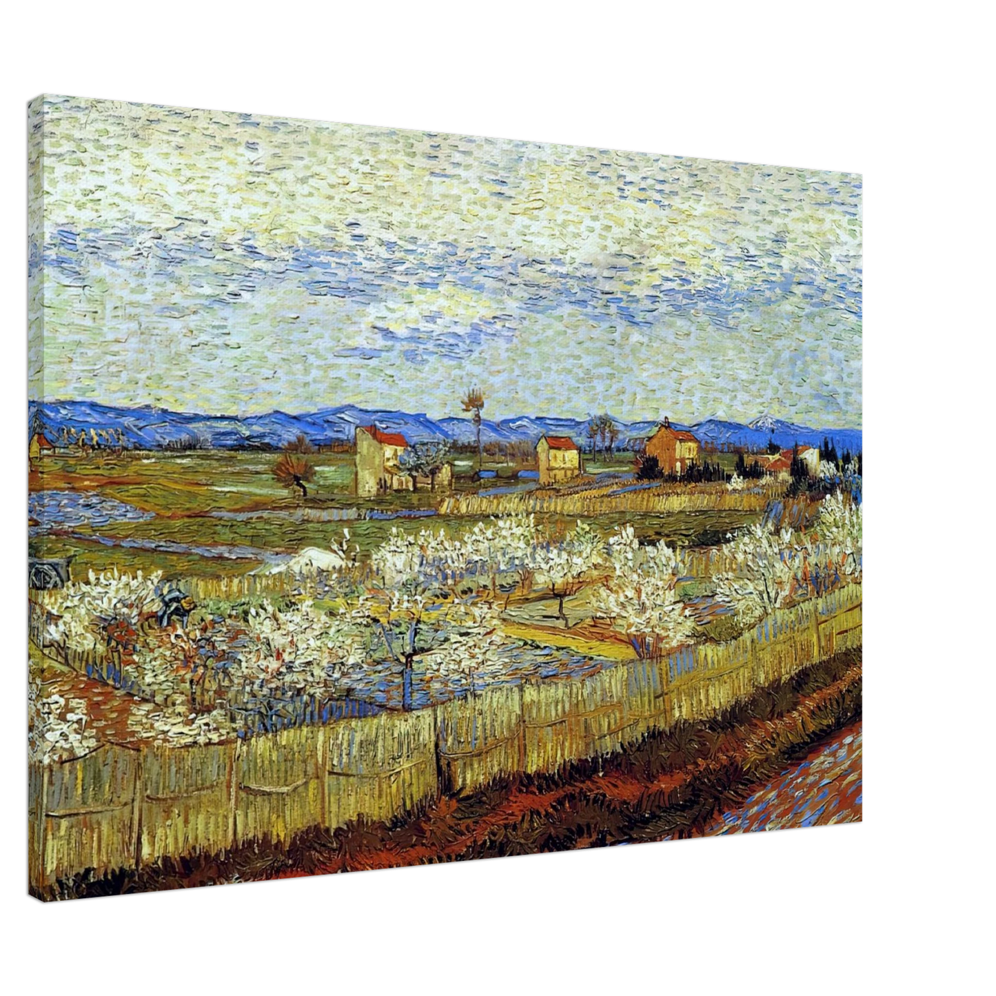 Vincent van Gogh - Peach Trees in Blossom Canvas - 20x30 cm / 8x12 inches-canvas