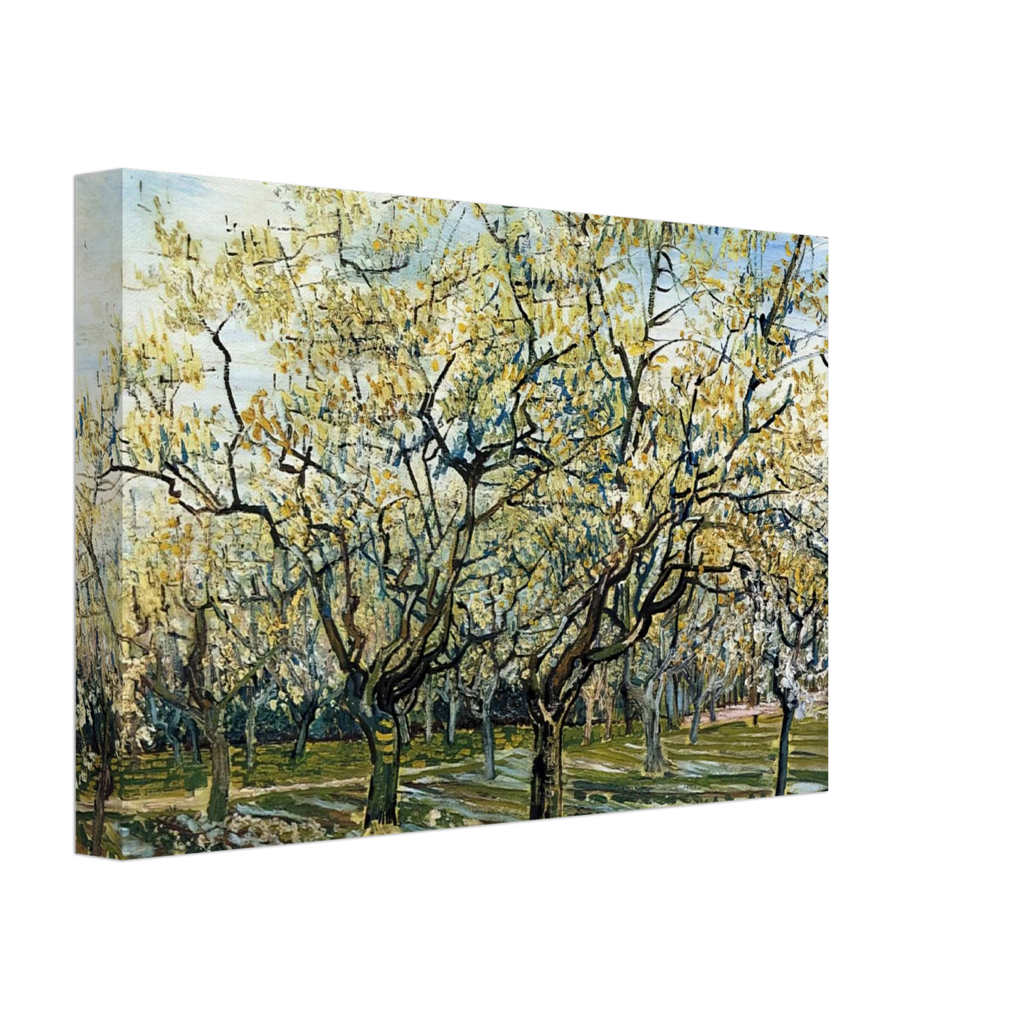 Vincent van Gogh - Orchard with Blossoming Plum Trees Canvas - 40x60 cm / 16x24 inches-canvas