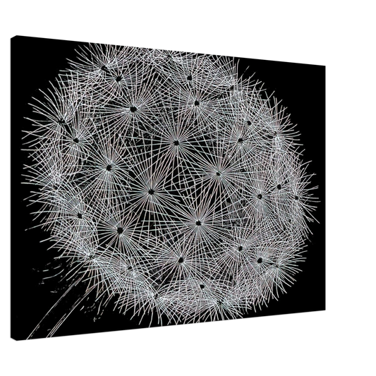 MC Escher - BLOWBALL II Canvas - Default Title-canvas