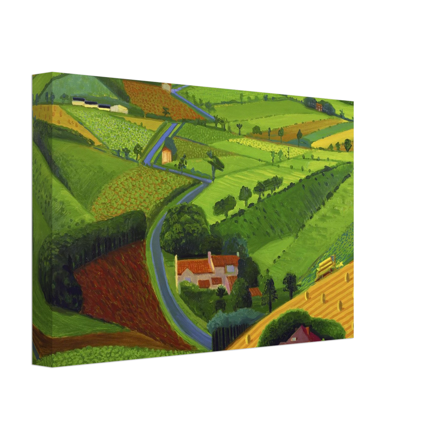 David Hockney - David Hockney Canvas - 70x100 cm / 28x40 inches-canvas