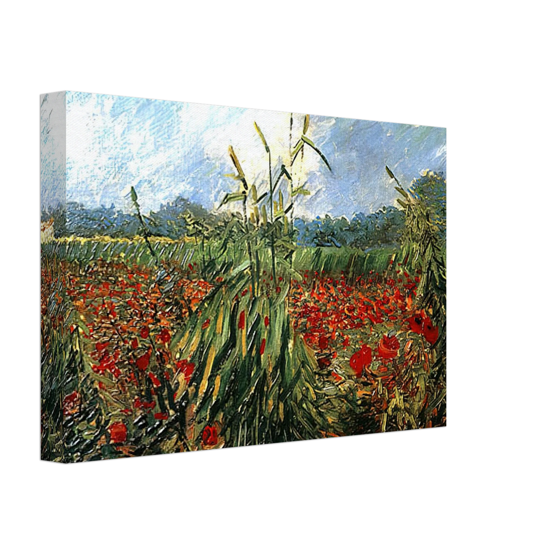 Vincent van Gogh - Green Ears of Wheat Canvas - 40x60 cm / 16x24 inches-canvas