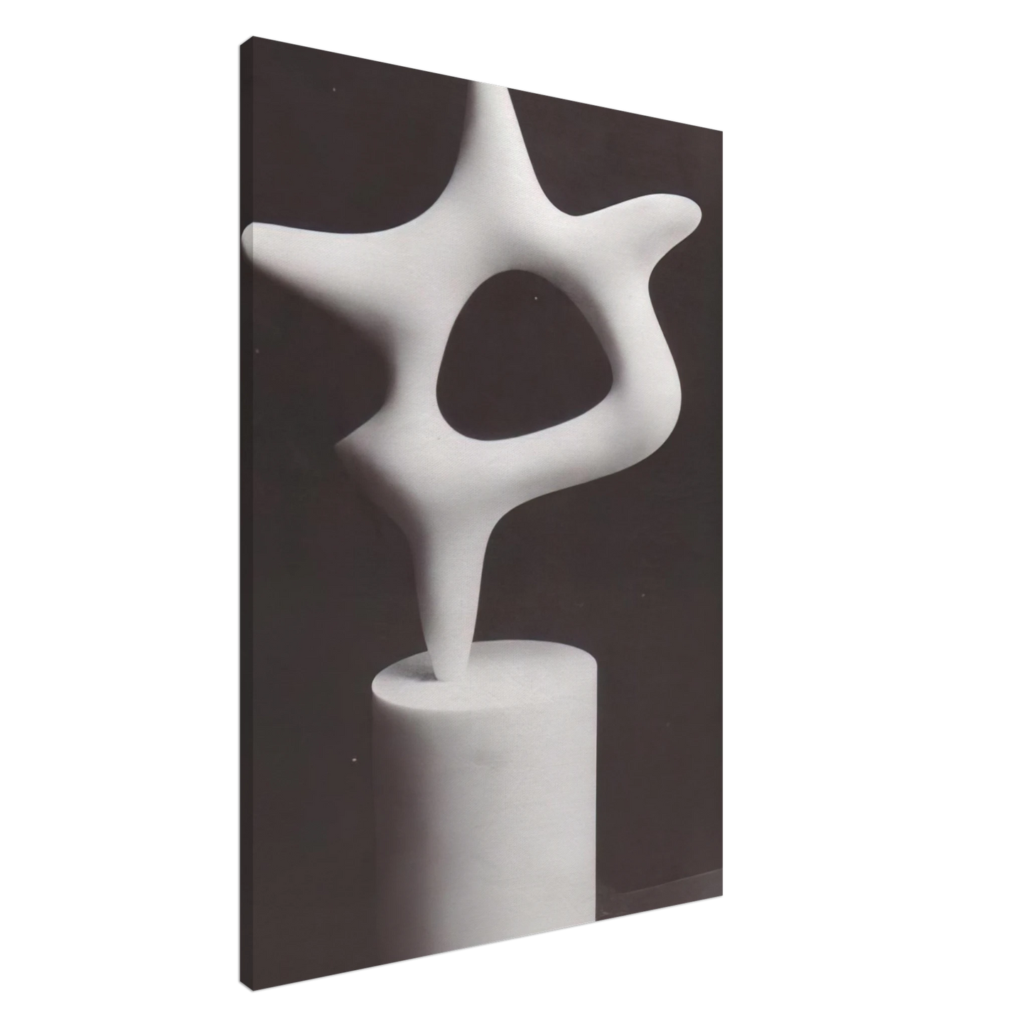 Jean Arp - The Star Canvas - 20x30 cm / 8x12 inches-canvas