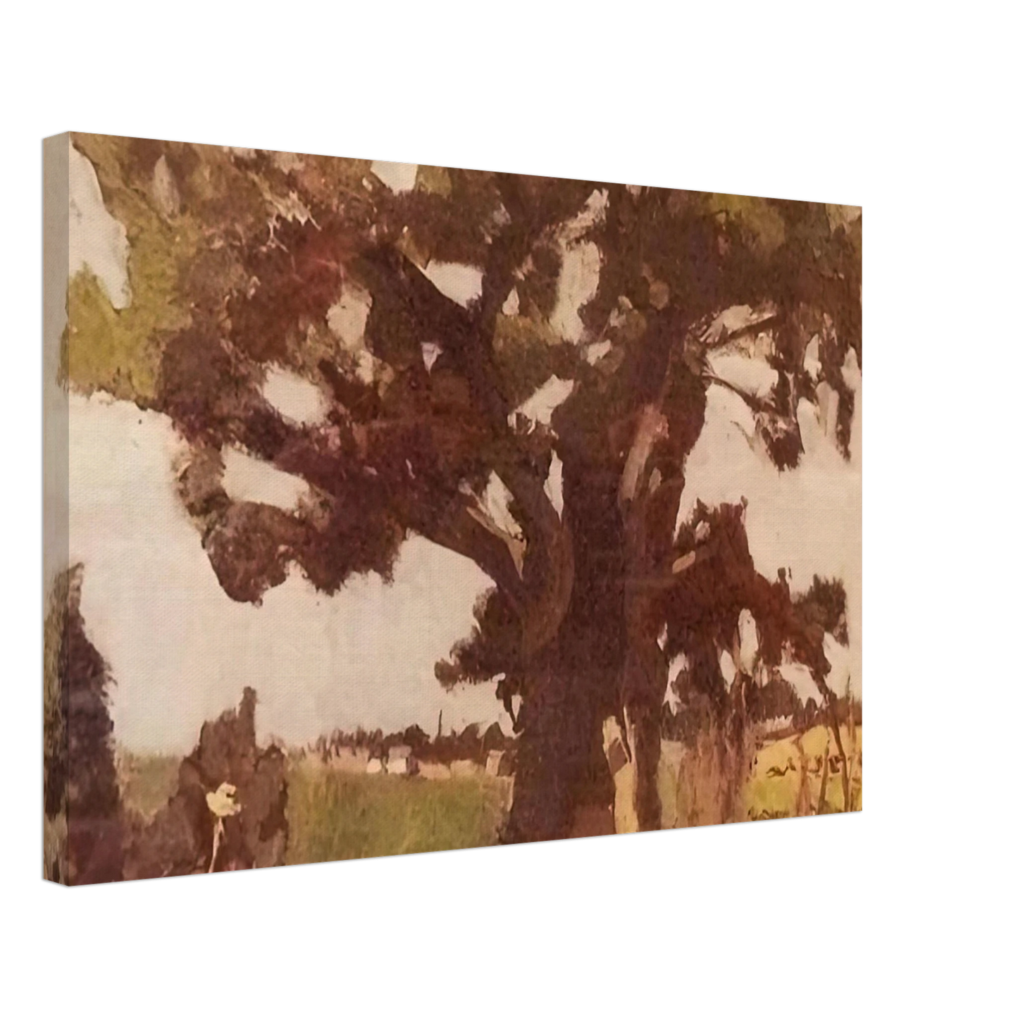 Henri Matisse - BLASTED OAK BOHAIN 1903 Canvas - 40x60 cm / 16x24 inches-canvas