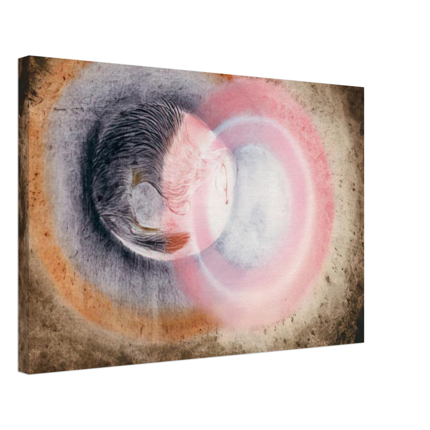 Morris Graves - Hibernation - 1954 Canvas - 40x60 cm / 16x24 inches-canvas