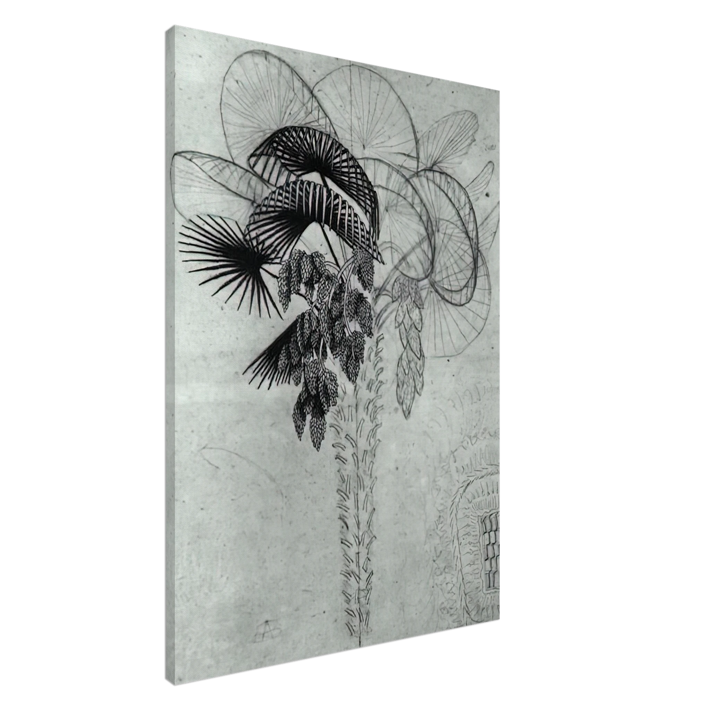 MC Escher - PALM TREE SKETCH Canvas - 20x30 cm / 8x12 inches-canvas