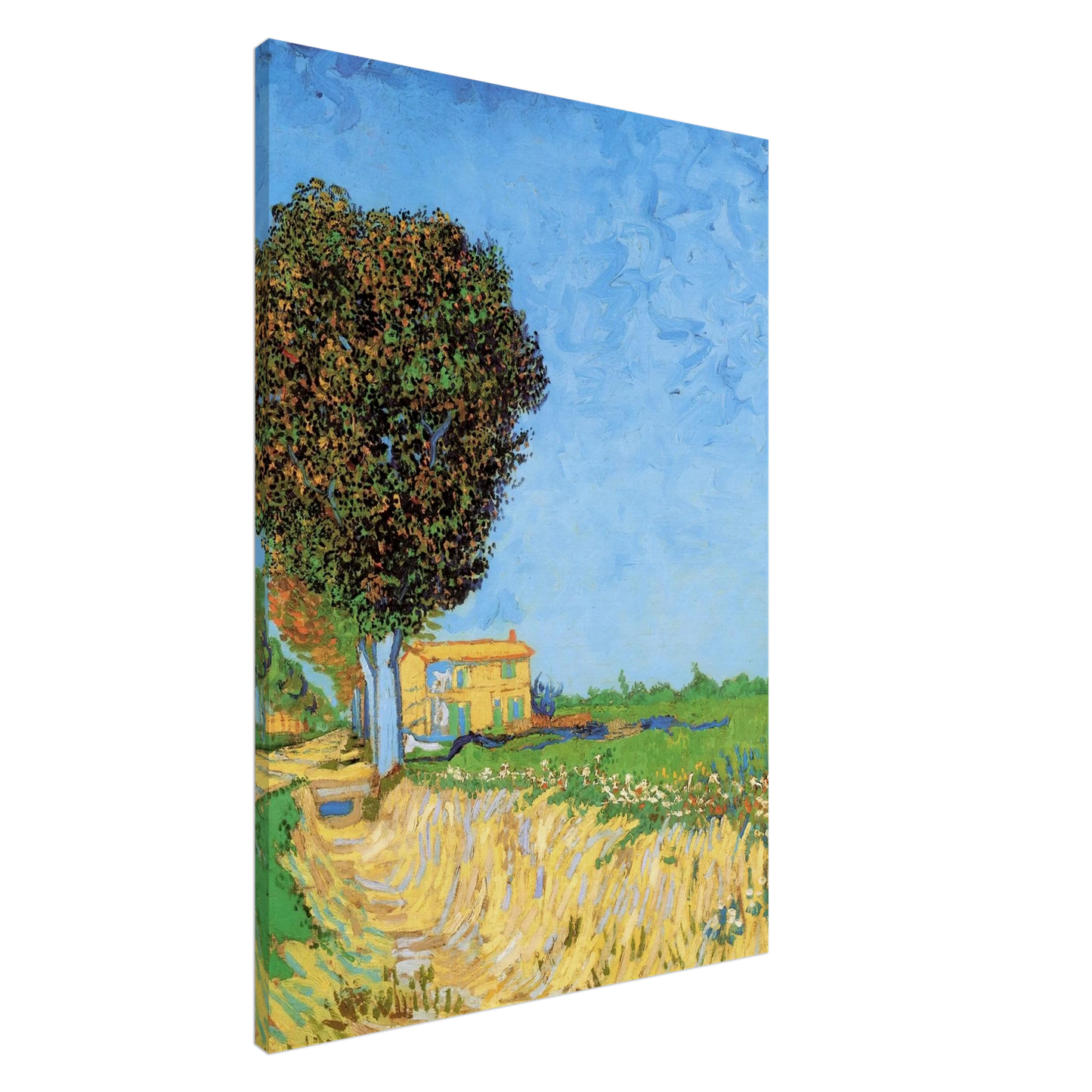 Vincent van Gogh - A Lane near Arles Canvas - 20x30 cm / 8x12 inches-canvas