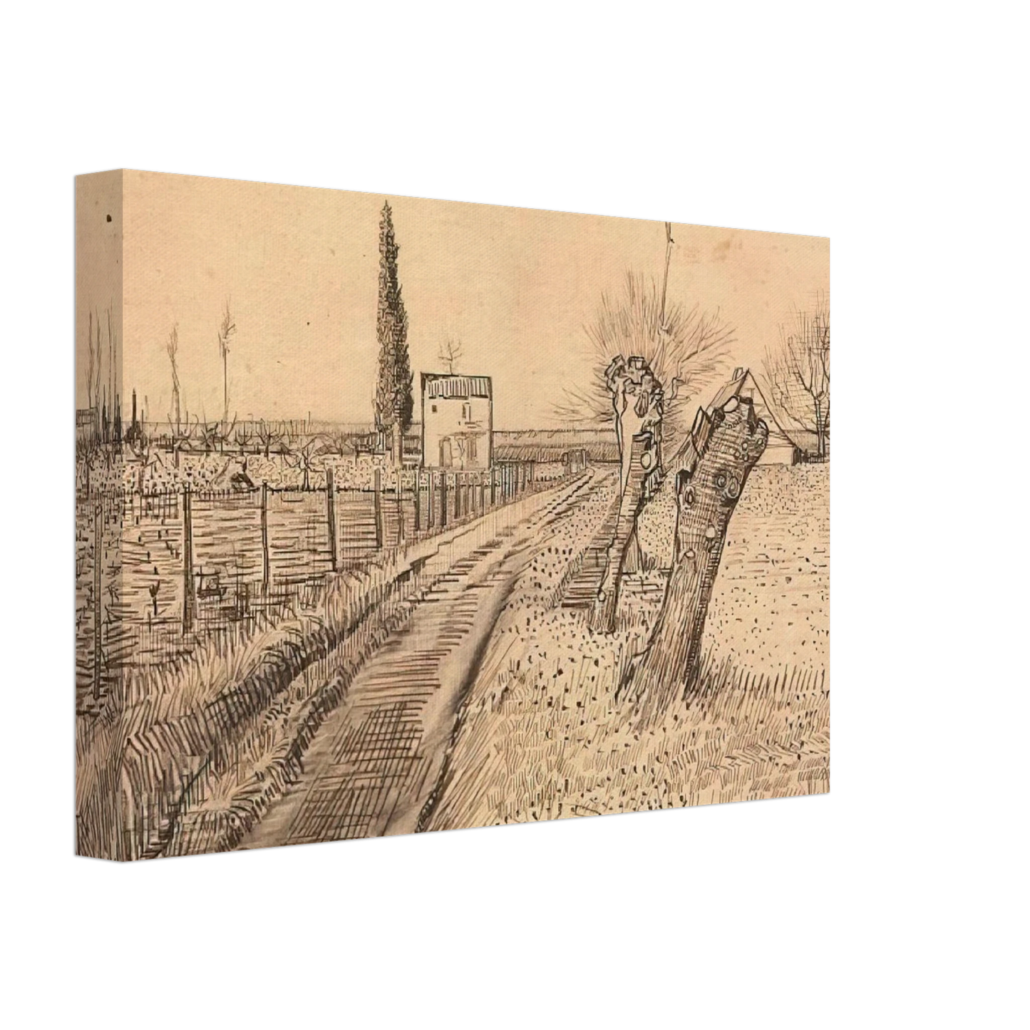 Vincent van Gogh - Landscape with Path and Pollard Trees Canvas - 40x60 cm / 16x24 inches-canvas
